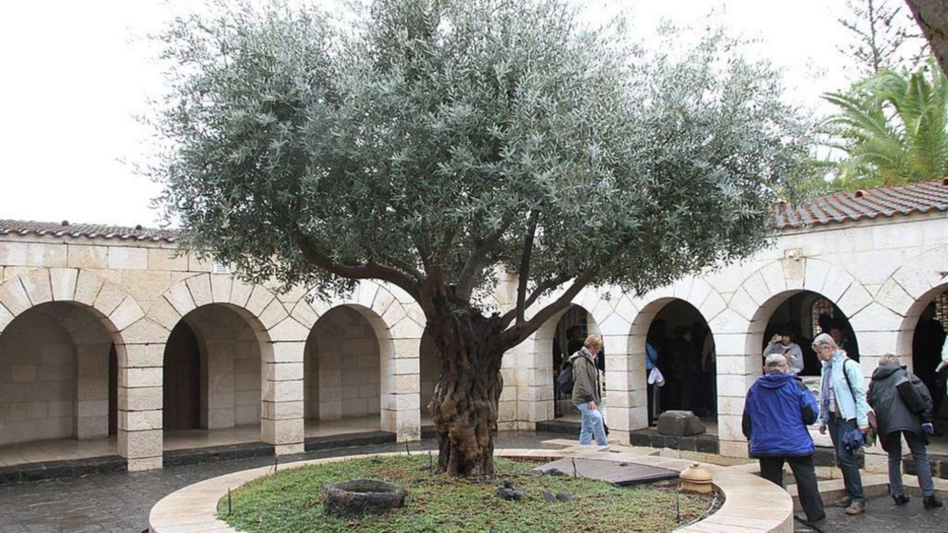 Immagine di Vandali rubano una croce vicino al Monastero dei benedettini a Tabgha