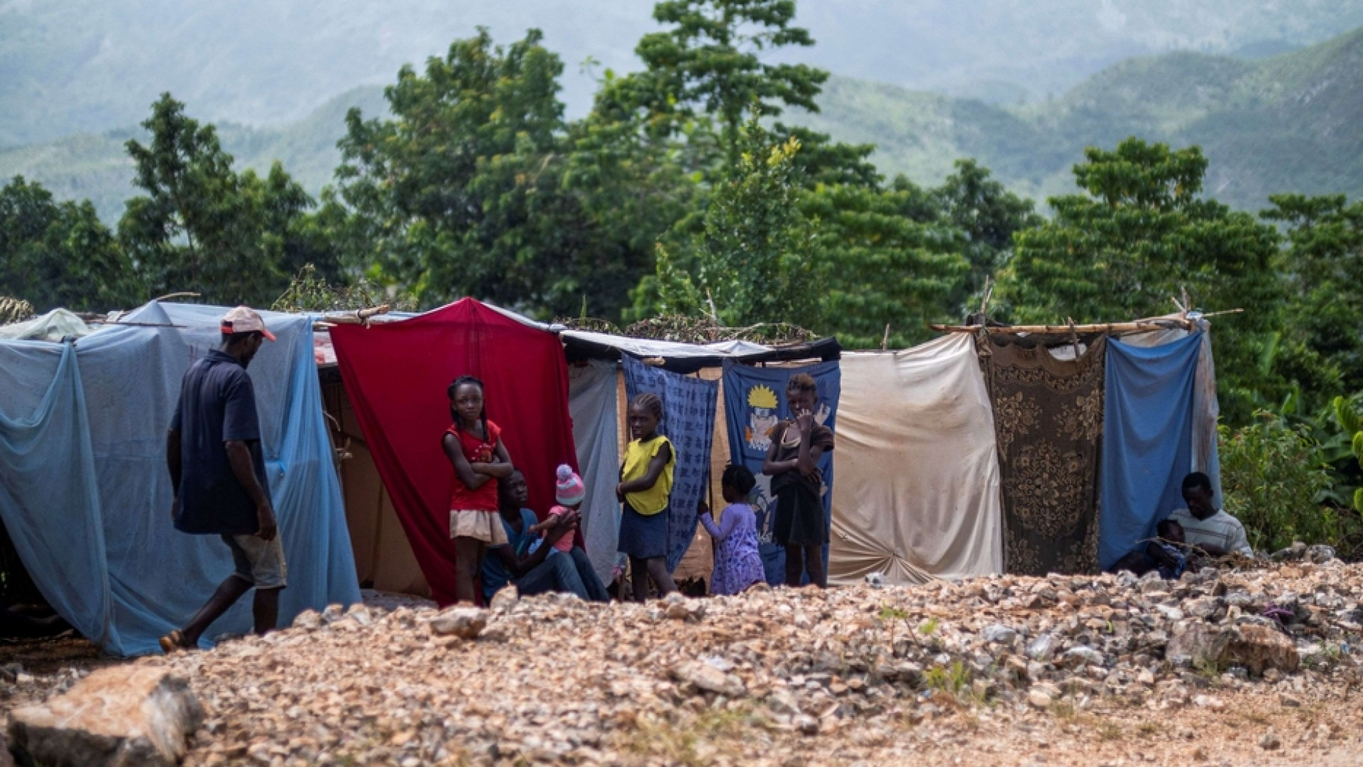 Immagine di Da papa Francesco aiuti per la gente di Haiti, Yemen e Bangladesh
