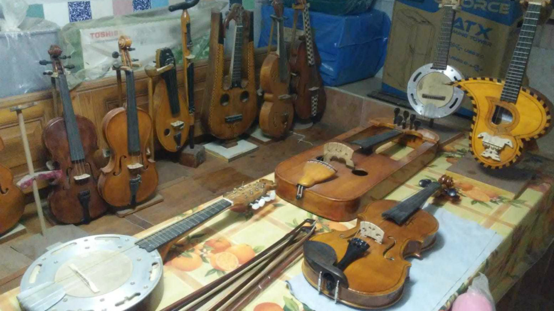 Immagine di Violini, ghironde, lira e mandolini: “Bellini faciebat”