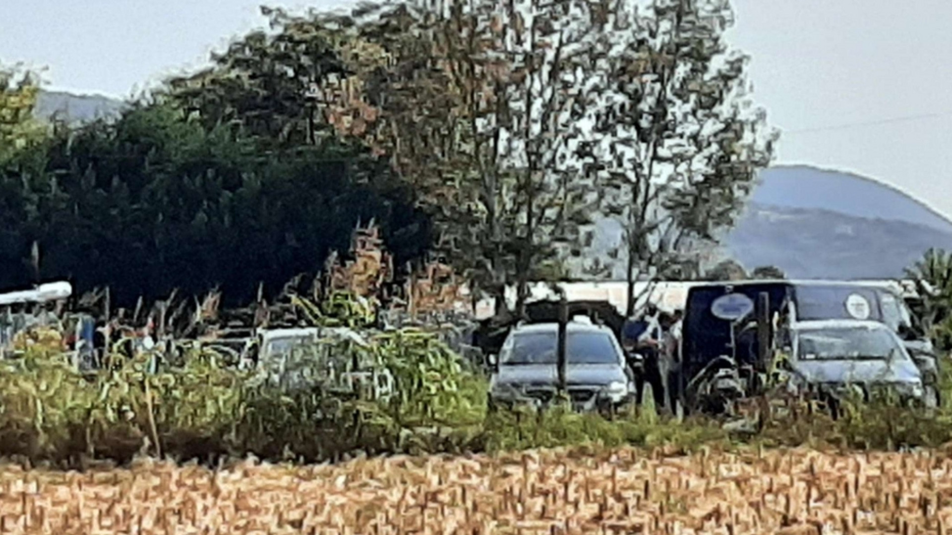 Immagine di Spara alla moglie nel Vicentino. Sei donne uccise in una settimana