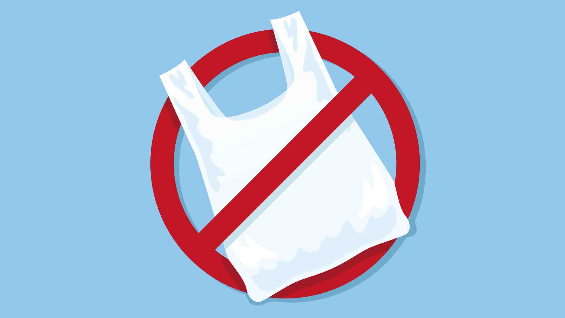 Immagine di Senza sacchetti di plastica per la spesa si può stare, e anche bene