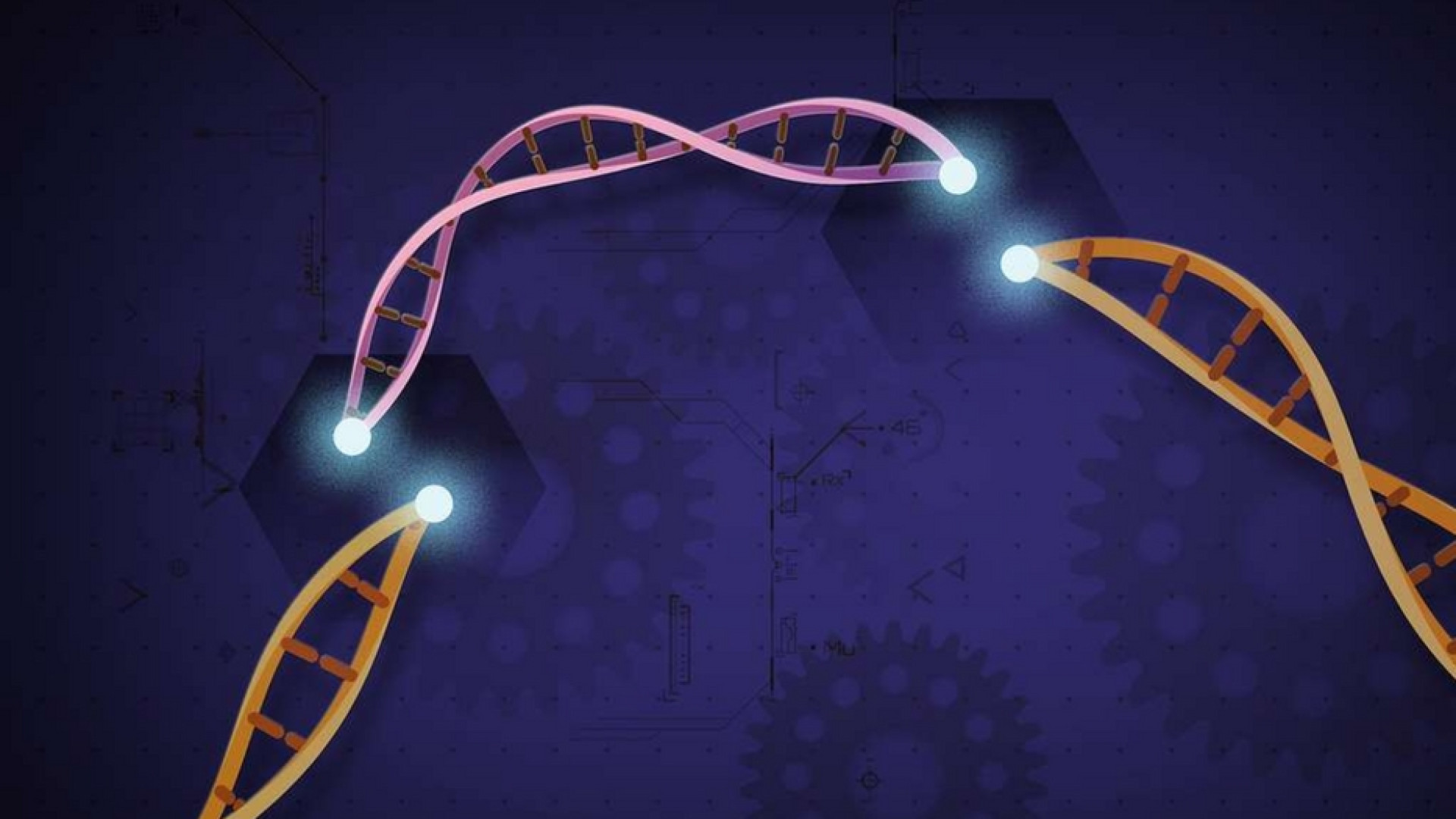 Immagine di Editing genetico, le sfide etiche delle cure con la tecnica Crispr