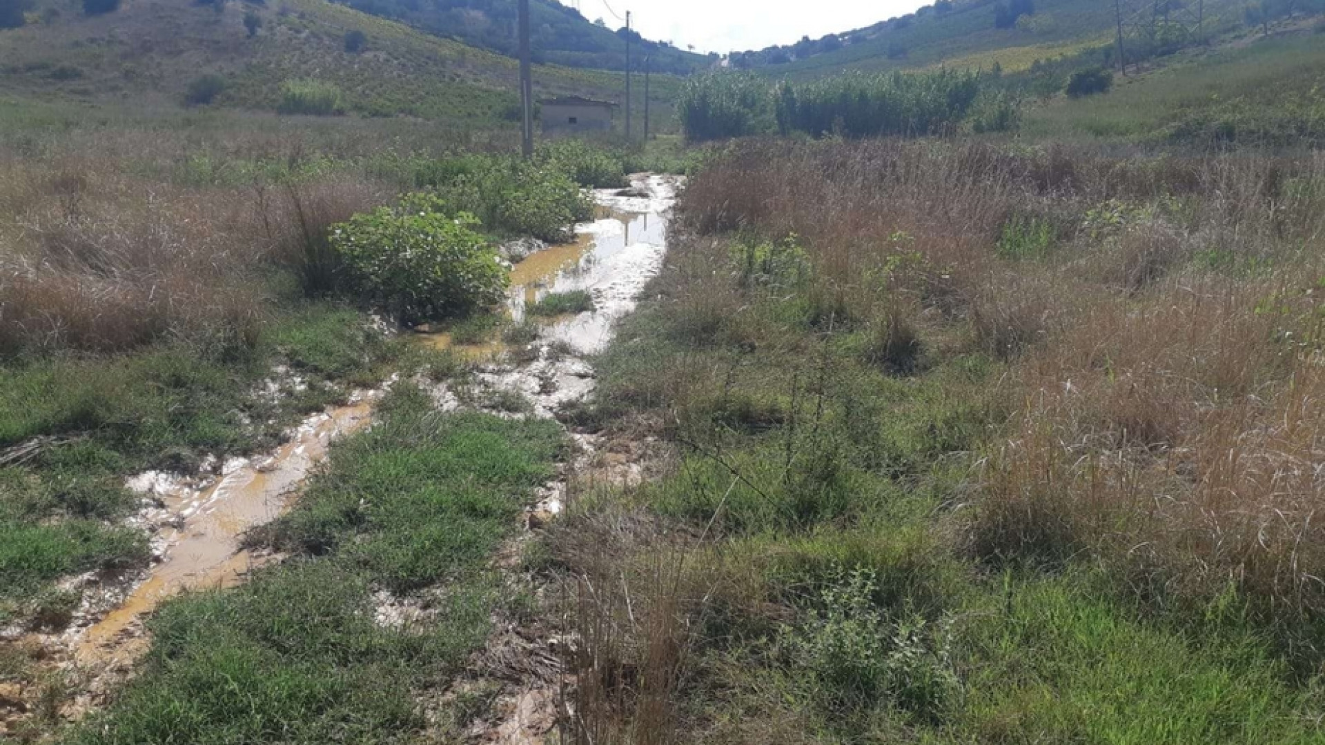 Immagine di L'ultimo sfregio: la cella-sacrario del piccolo Di Matteo è inaccessibile