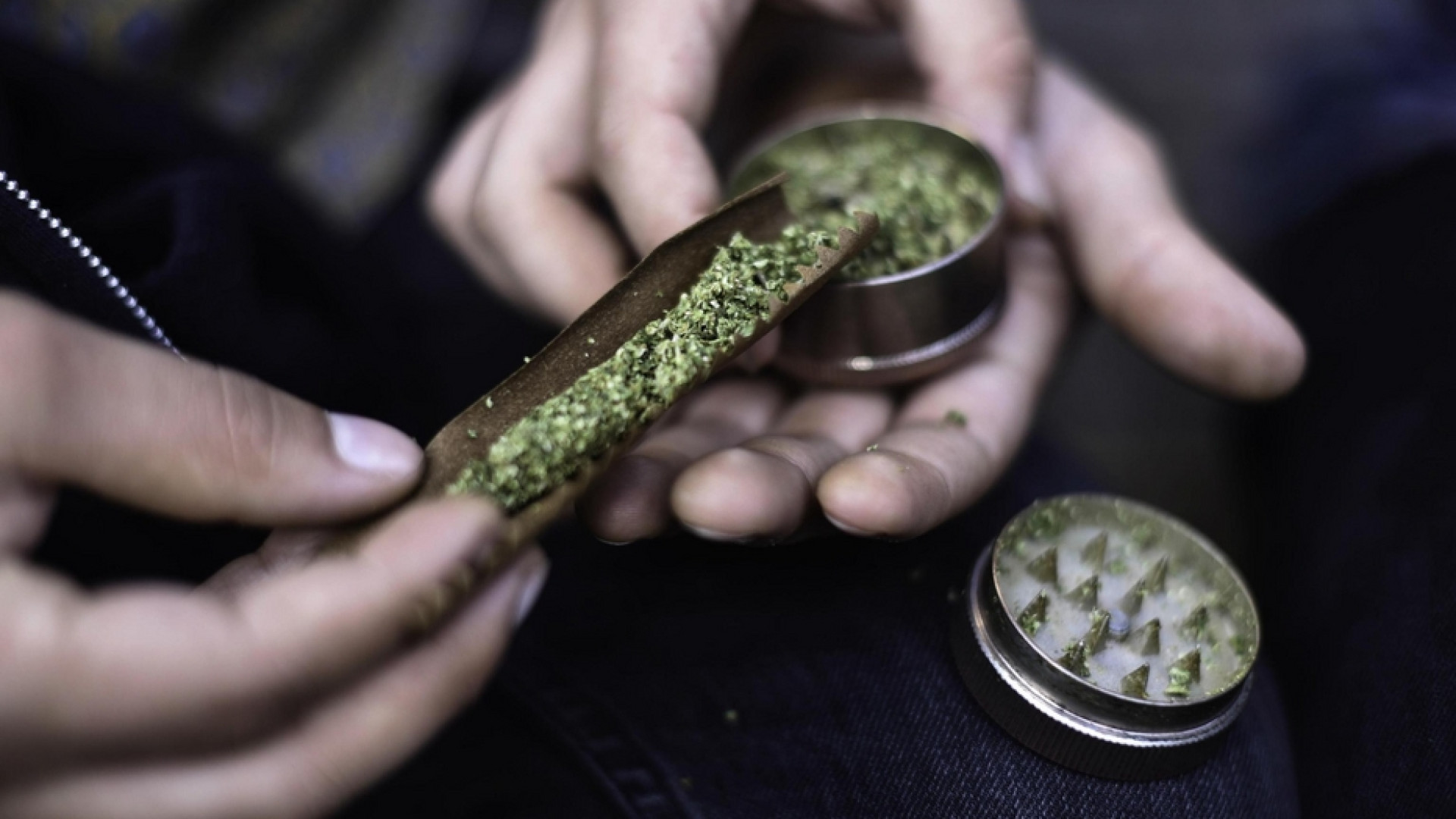 Immagine di Perché legalizzare la cannabis non fermerebbe la criminalità
