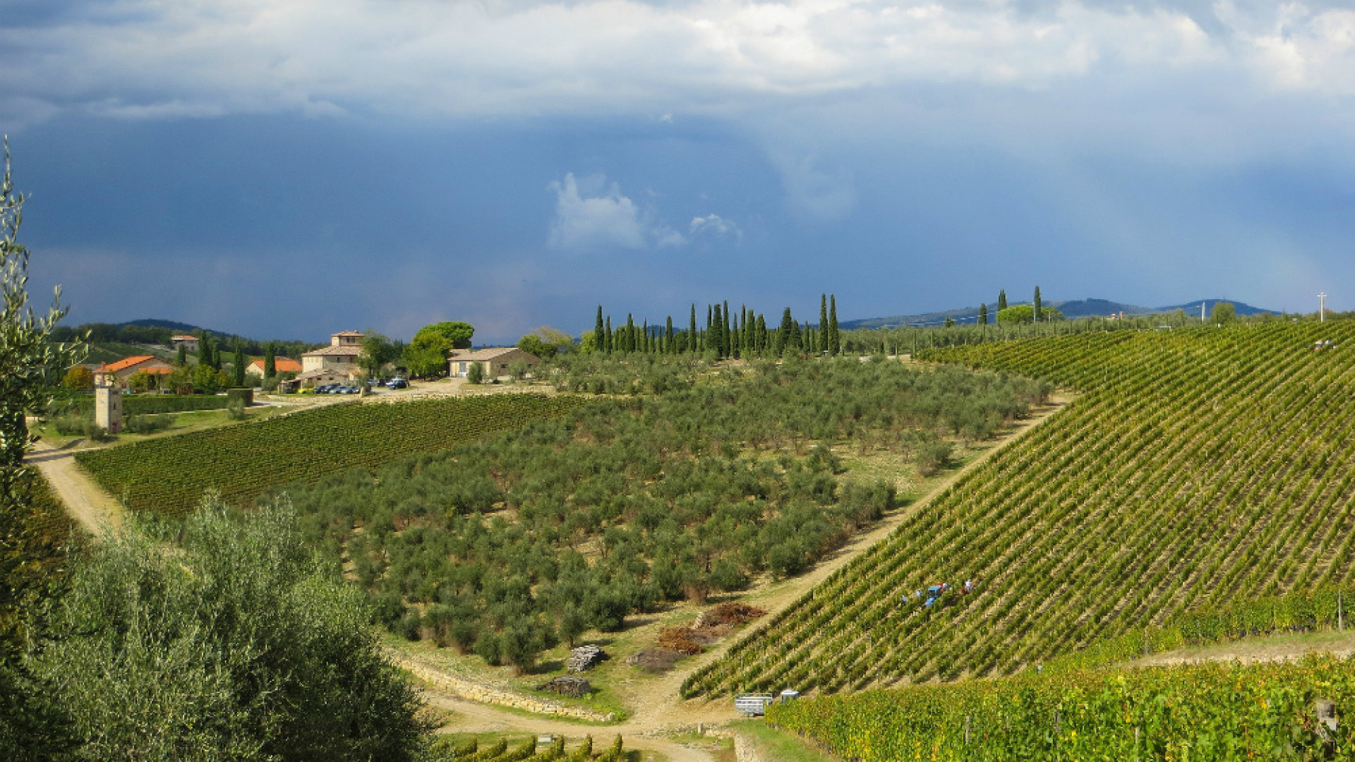 Immagine di Il Chianti in un giorno