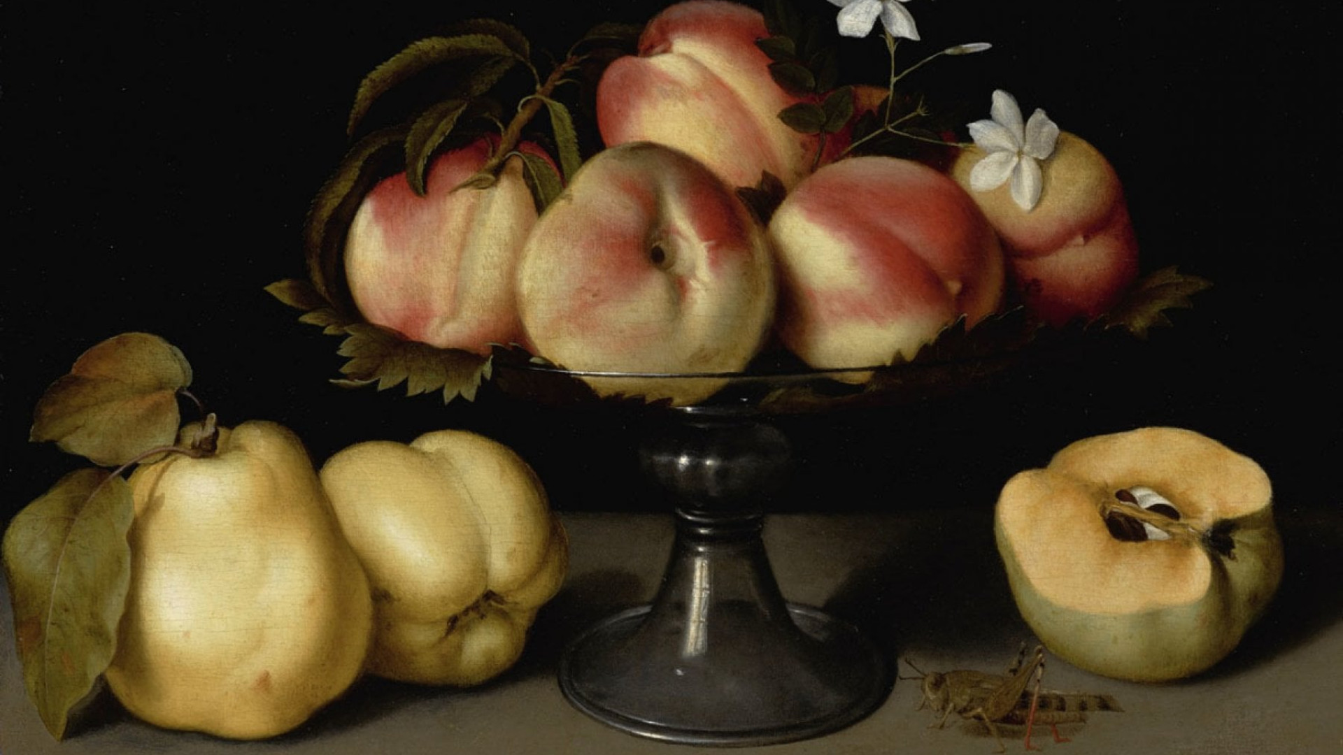 Immagine di Fede Galizia, pittrice “neutra”
