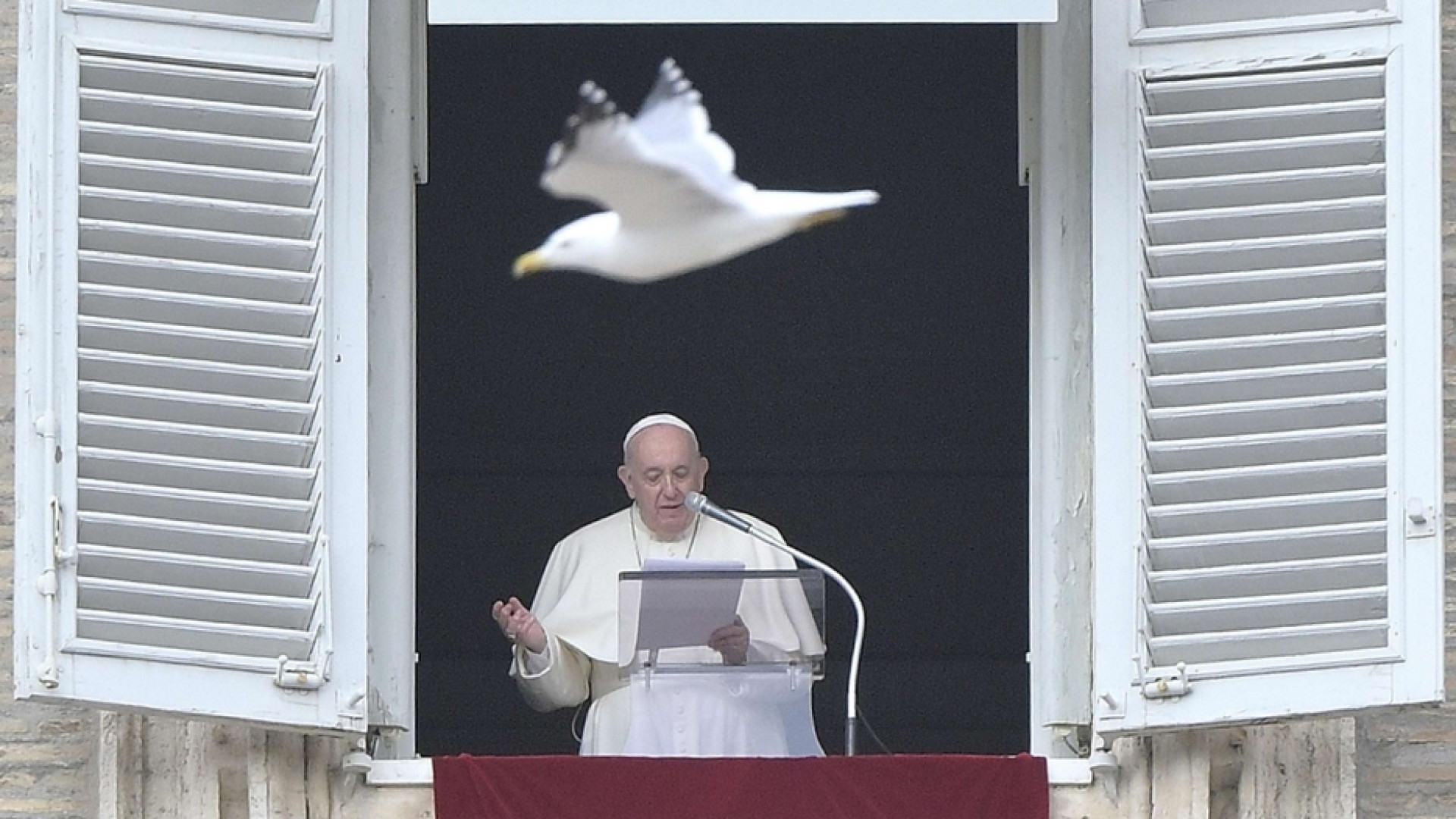 Immagine di Il Papa: "riconoscersi piccoli è il punto di partenza per diventare grandi"