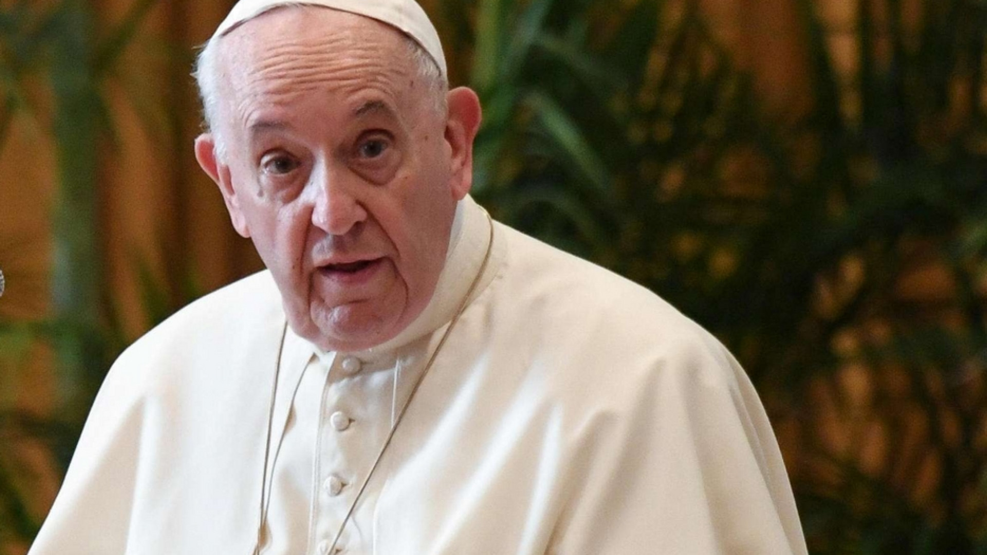 Immagine di Il Papa: preservare la Terra da azioni scellerate