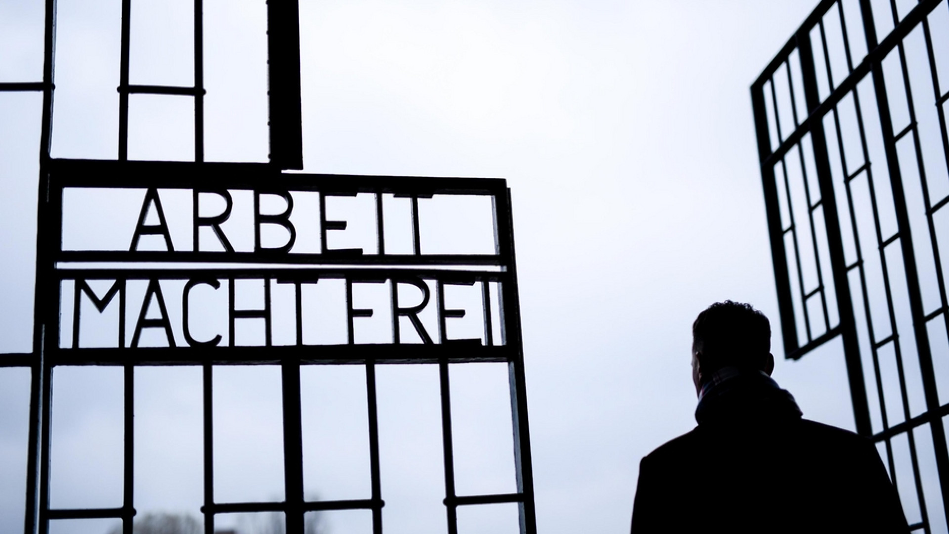 Immagine di Nazista di 100 anni a processo: "Non sapevo quello che stavo facendo"