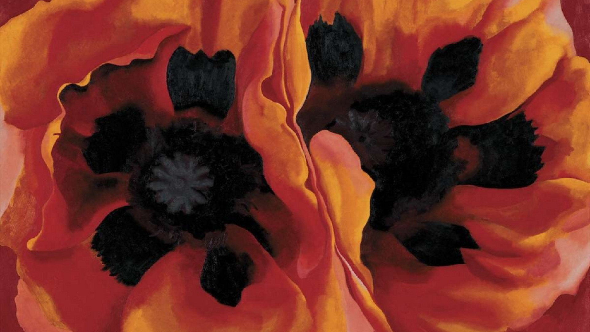 Immagine di Il senso di Georgia O’Keeffe per i fiori