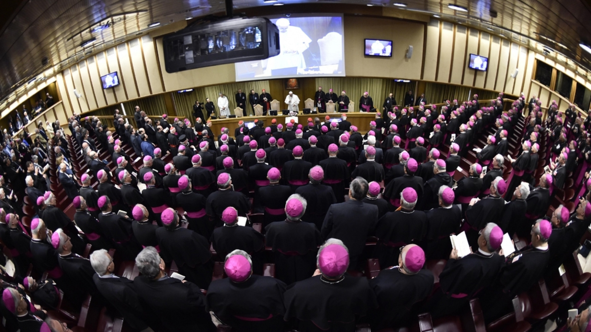 Immagine di Le tappe del cammino Sinodale delle chiese che sono in Italia