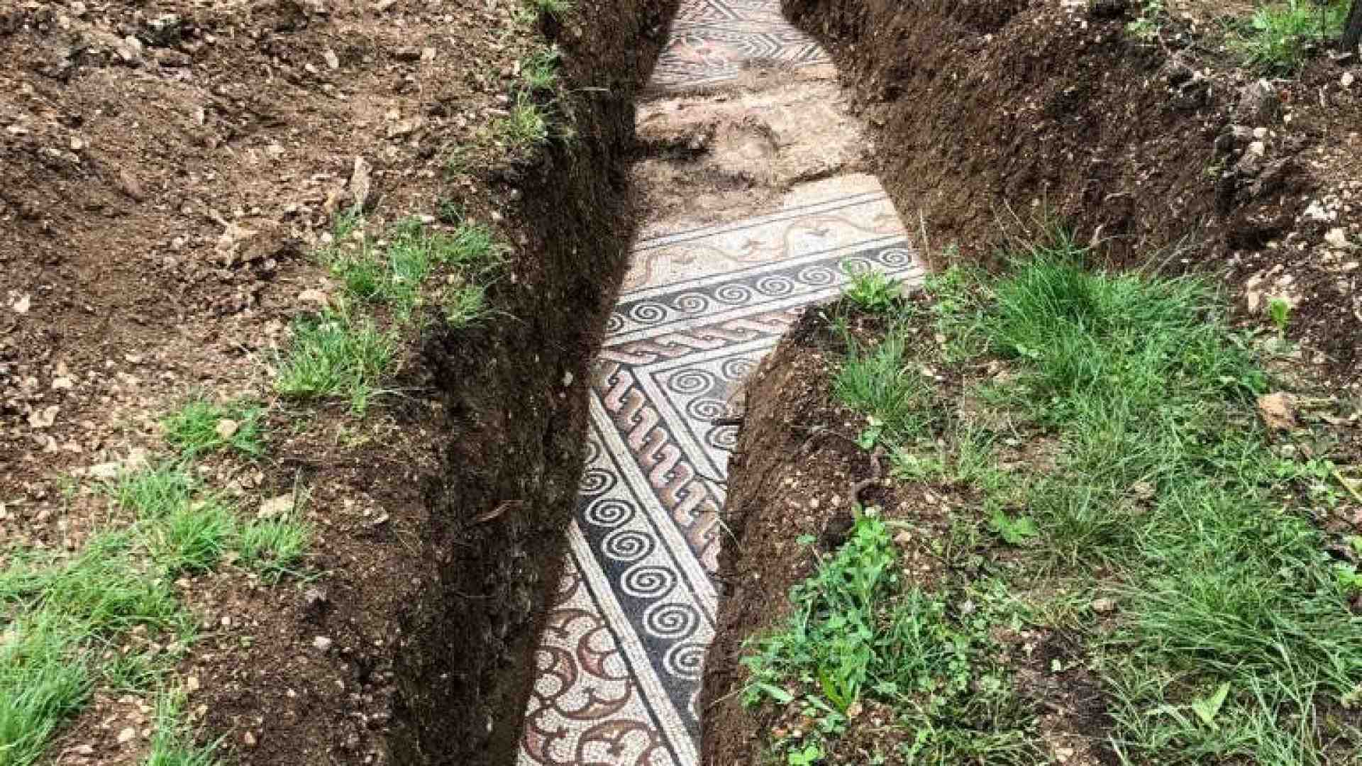 Immagine di Trovati a Negrar resti d’uva di 6.000 anni: qui il vino più antico d’Italia?