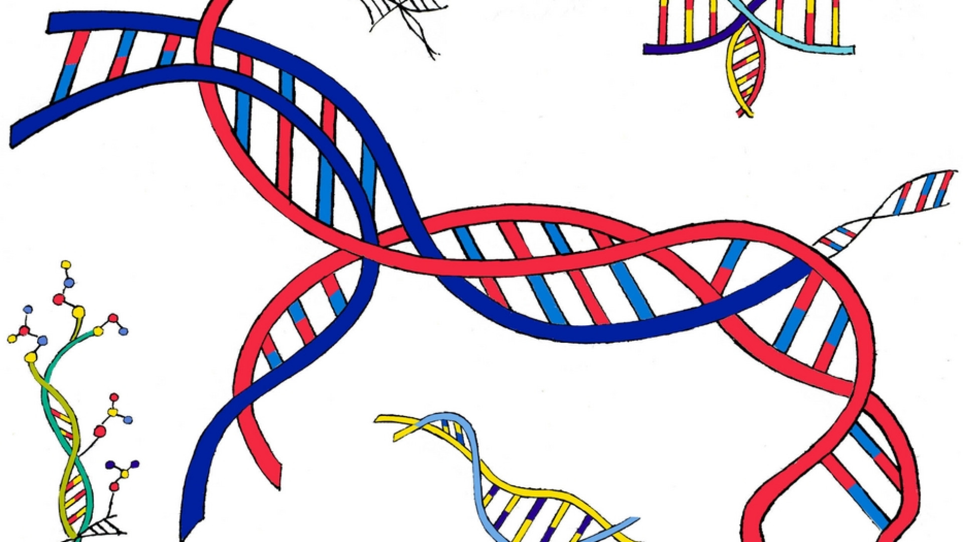 Immagine di La scienza come la poesia. E anche la fisica è «bella»