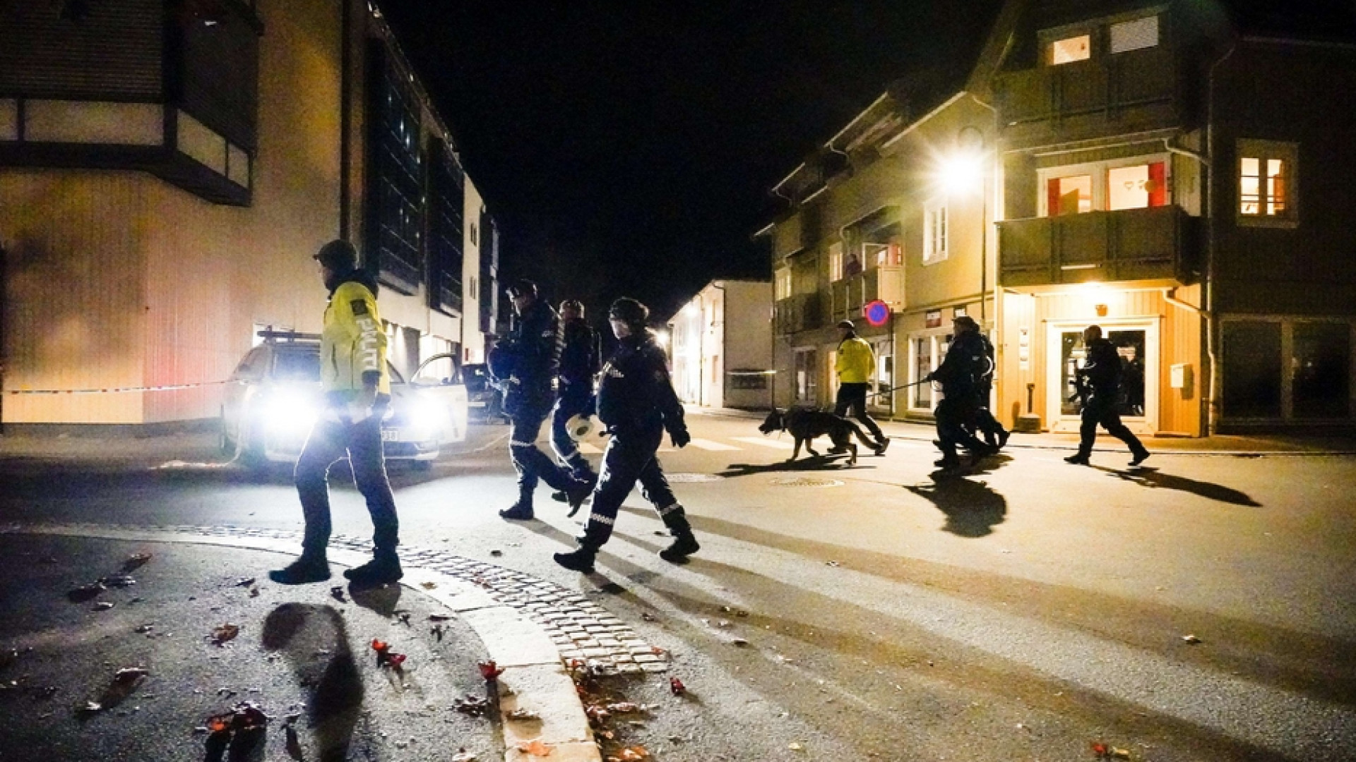 Immagine di Fa strage con l'arco a Kongsberg. «Un danese che si era radicalizzato»