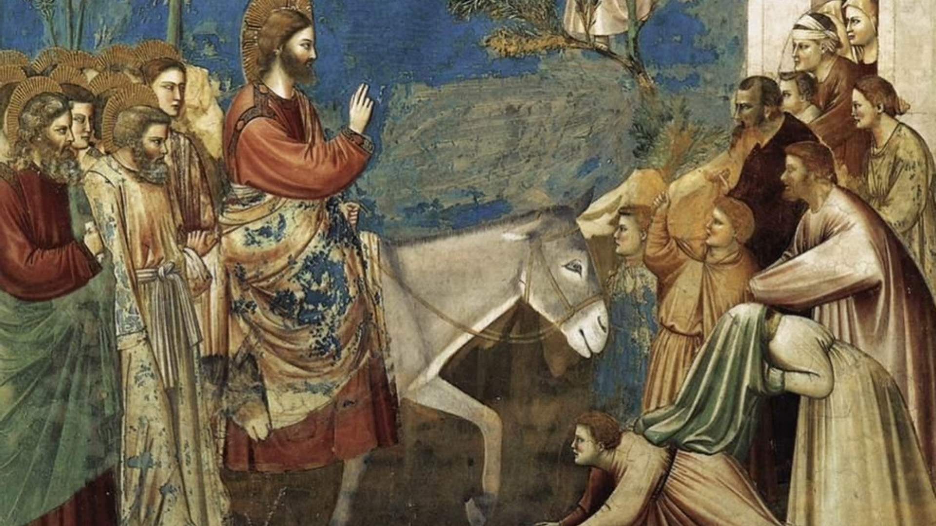 Immagine di In parole e in opere: così si racconta Gesù