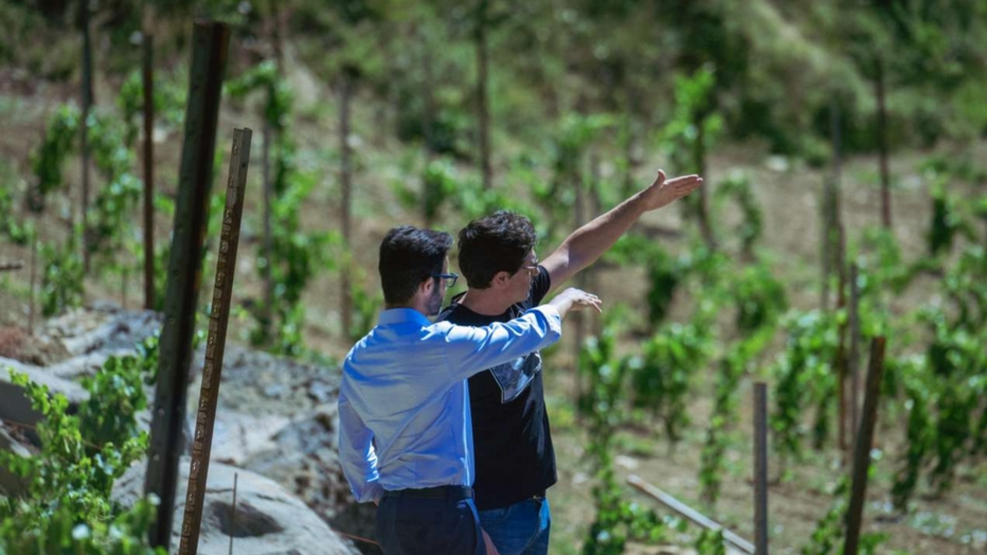 Immagine di Dall'allevamento al turismo, rinascita verde per gli Appennini