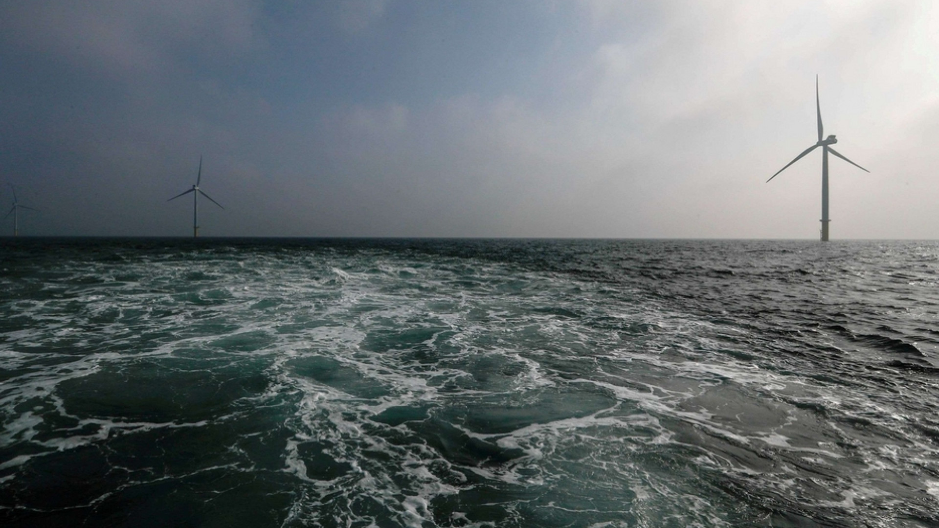 Immagine di Gli ostacoli imprevisti dell'eolico: renne e pescatori fermano le pale