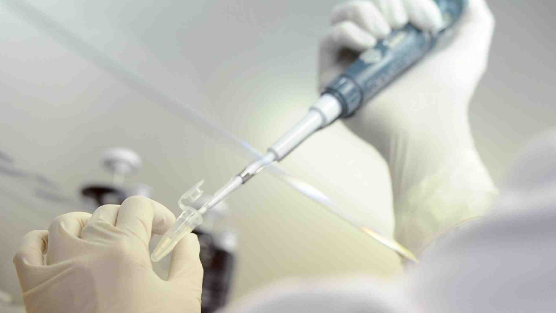 Immagine di Scambio di embrioni in provetta, due coppie si "restituiscono" i neonati