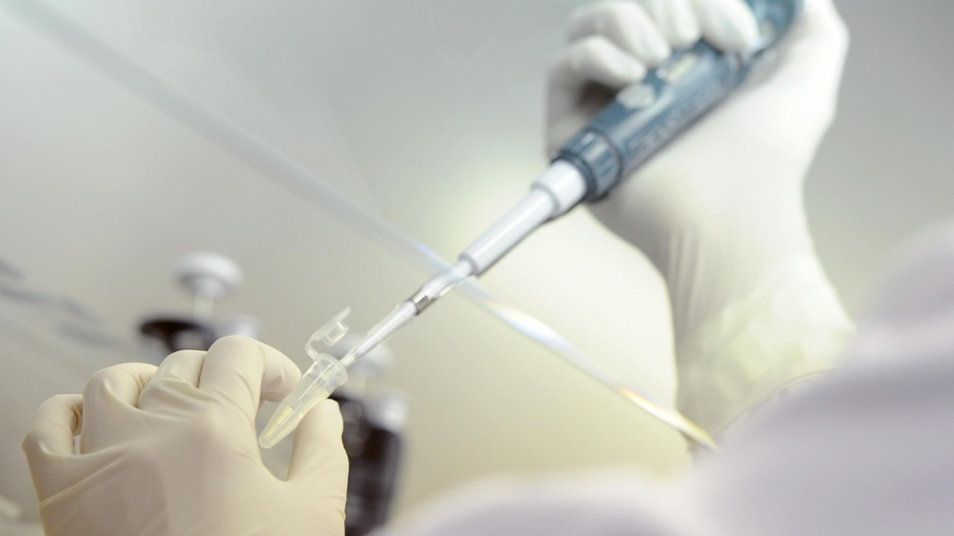 Immagine di Scambio di embrioni in provetta, due coppie si "restituiscono" i neonati