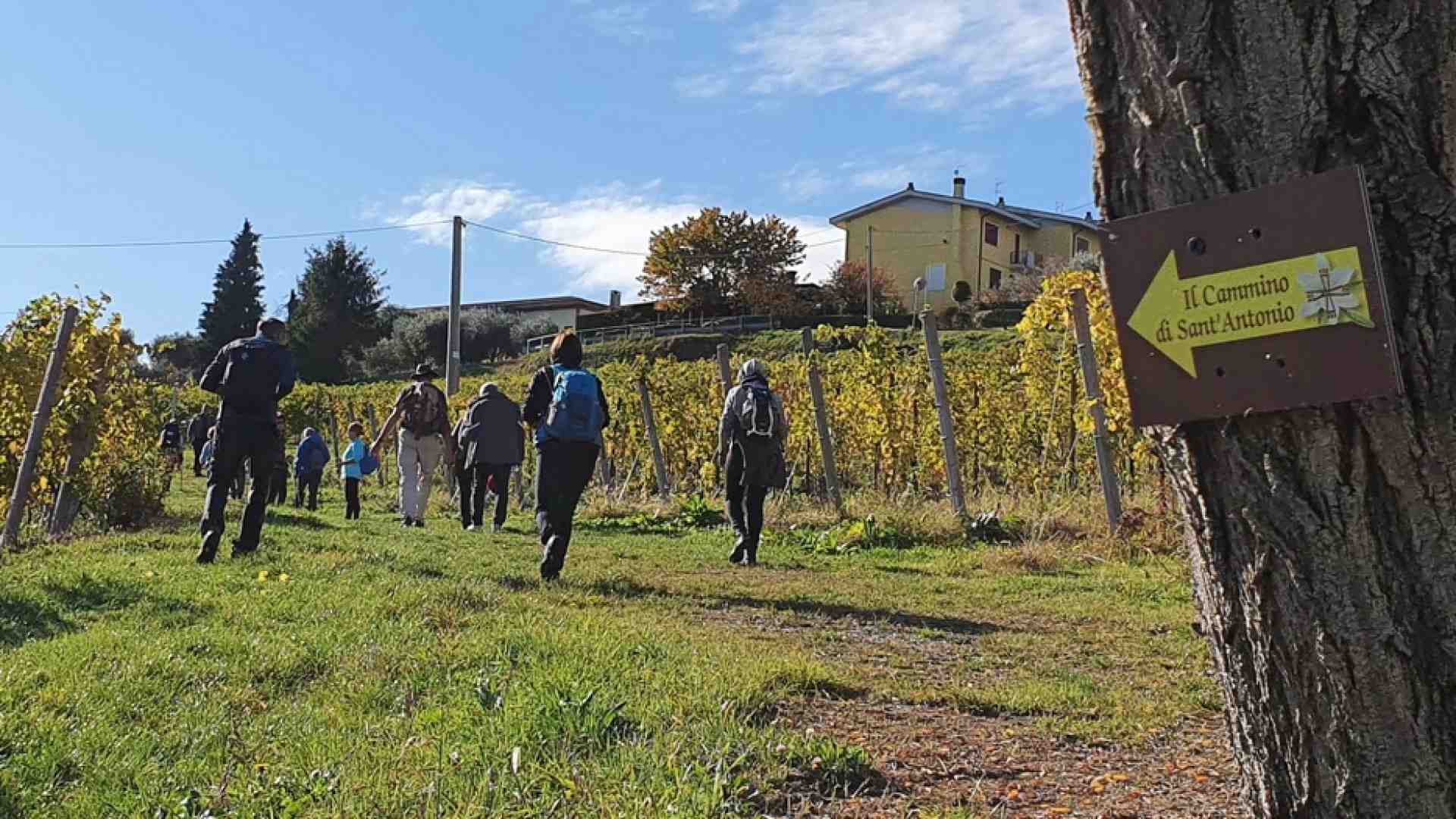 Immagine di Con sant'Antonio il pellegrinaggio staffetta che conquista il Triveneto