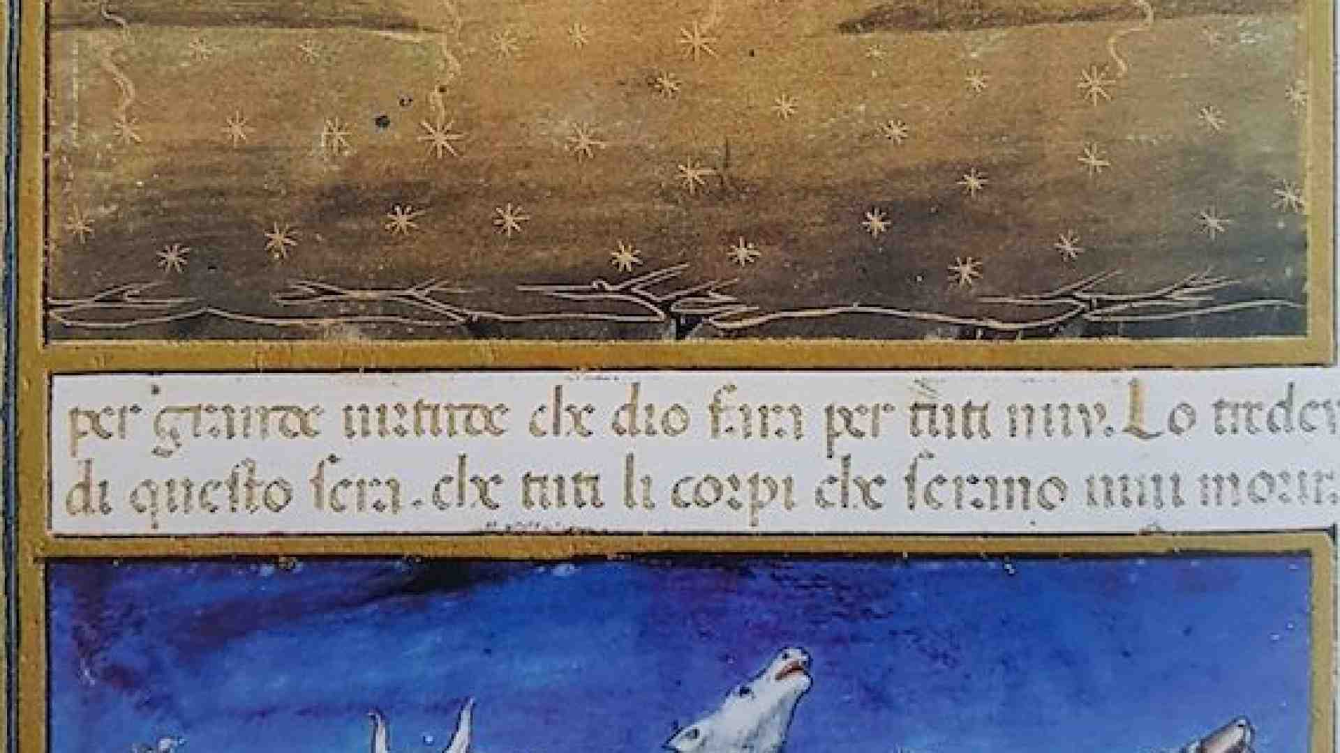 Immagine di Essere germoglio di attesa e di speranza