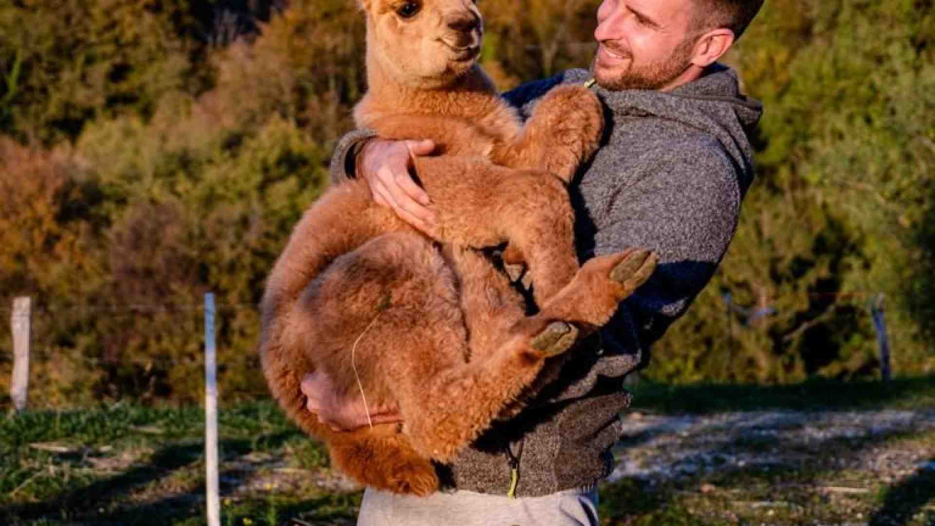 Immagine di Il futuro dell'agricoltura veronese passa dai giovani e dalla tecnologia