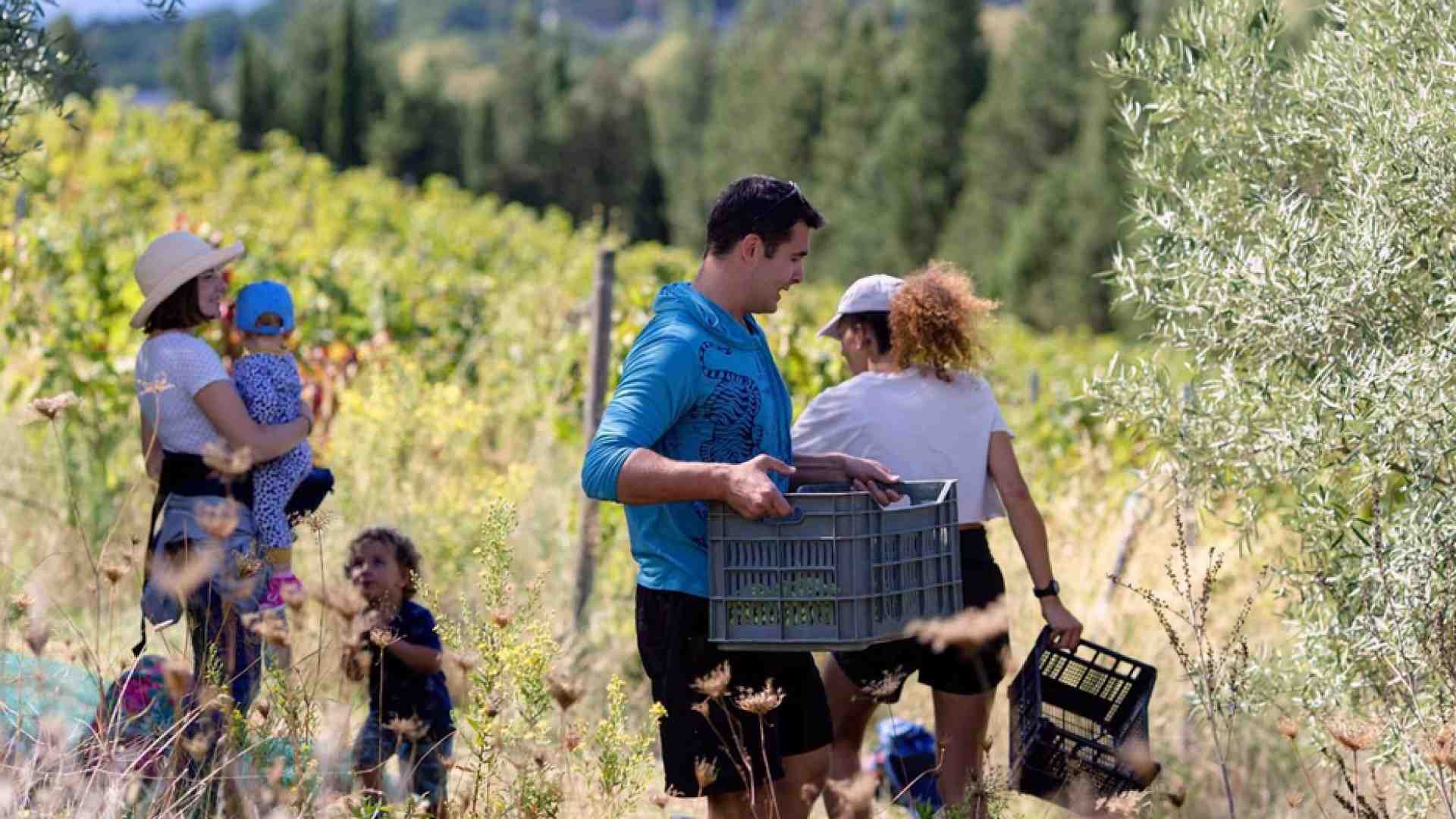 Immagine di Cooperative di comunità: quando il bisogno diventa impresa