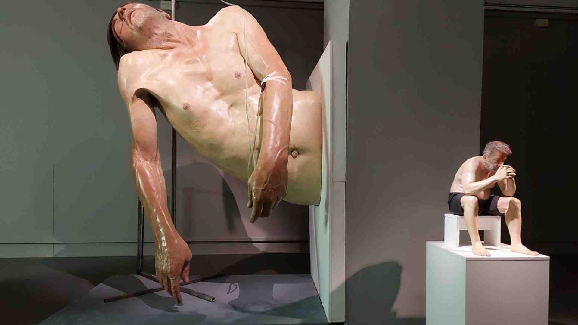 Immagine di Chi ha rubato il corpo dell'arte?