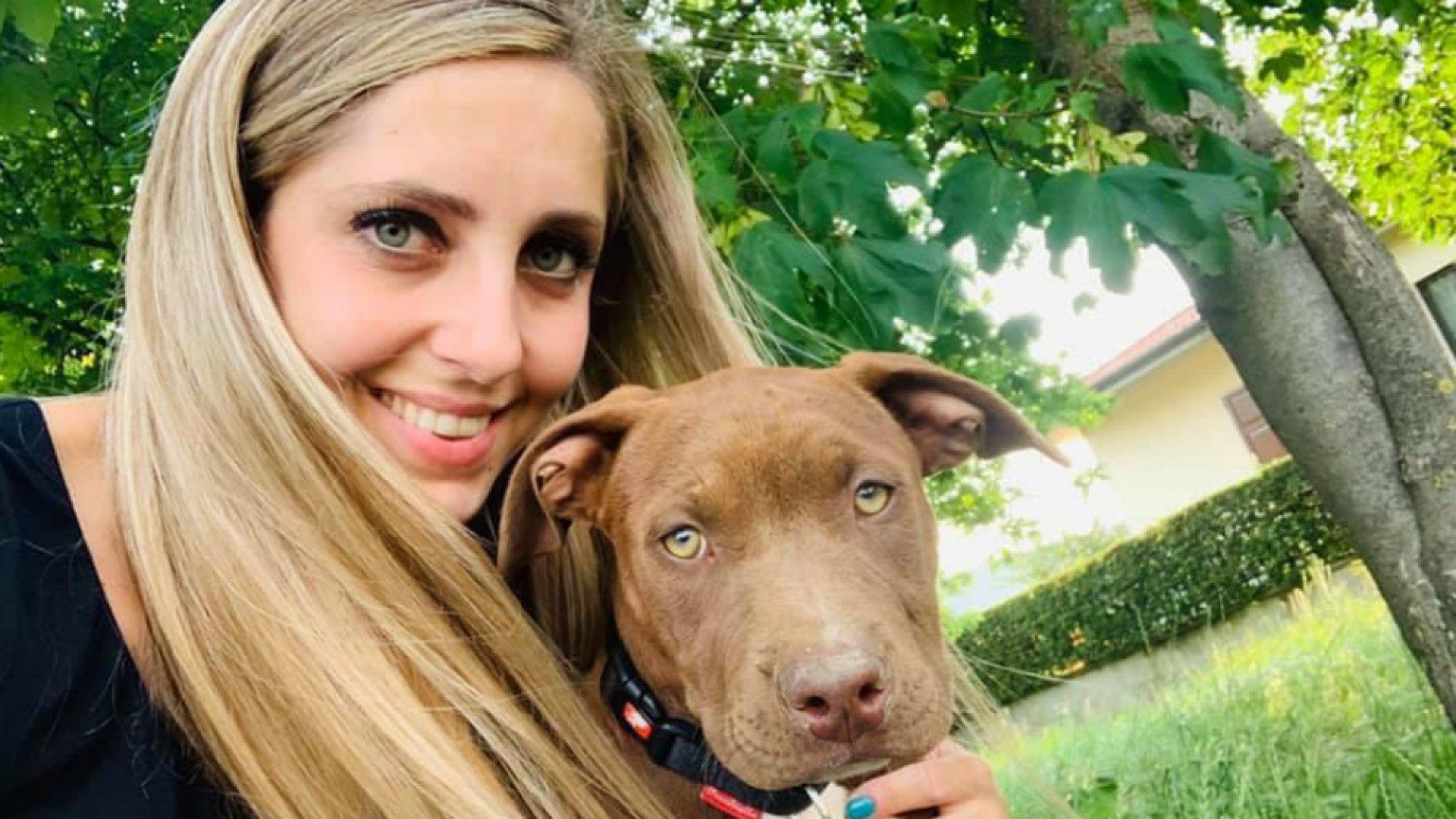 Immagine di Il cane è da educare. Poi starebbe bene anche in un ufficio