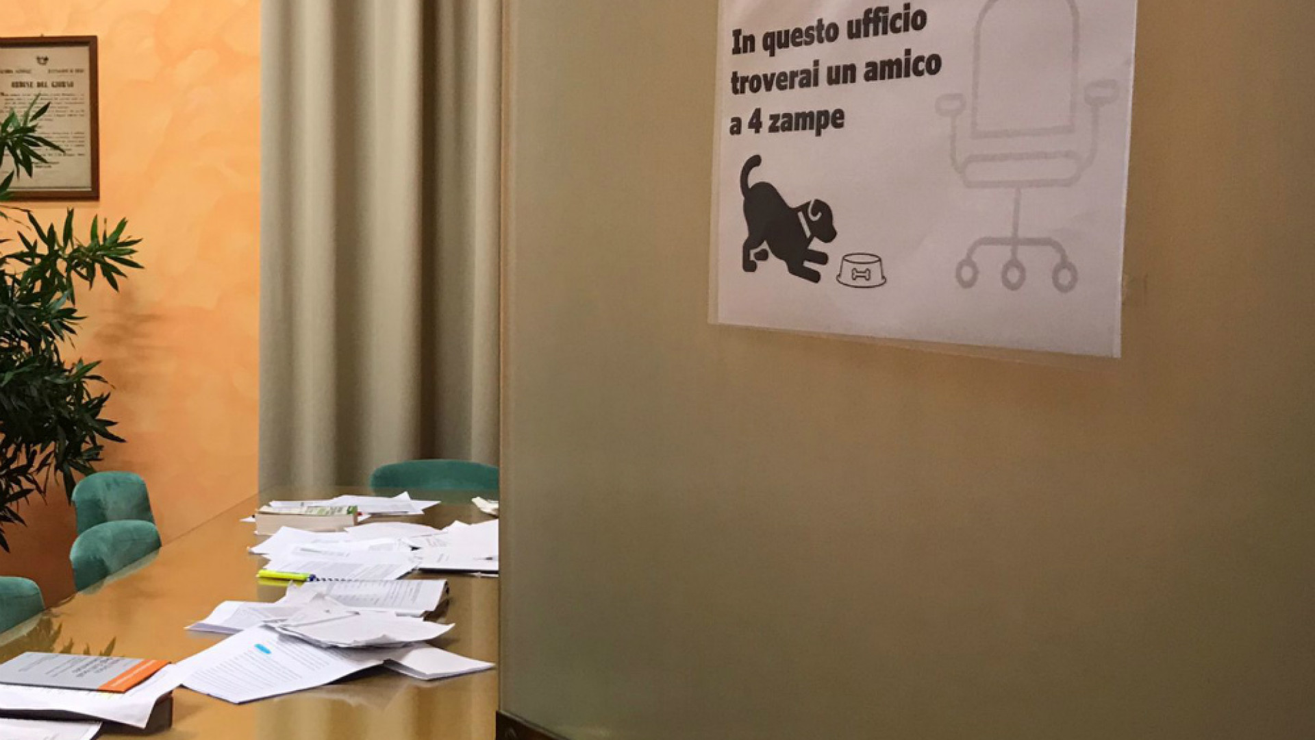 Immagine di “Vita da cani” in Comune Crema è pet friendly