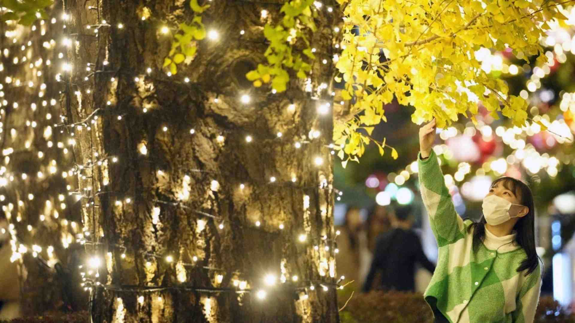 Immagine di A Tokyo il mistero del Covid scomparso: in 3 mesi i contagi si sono azzerati