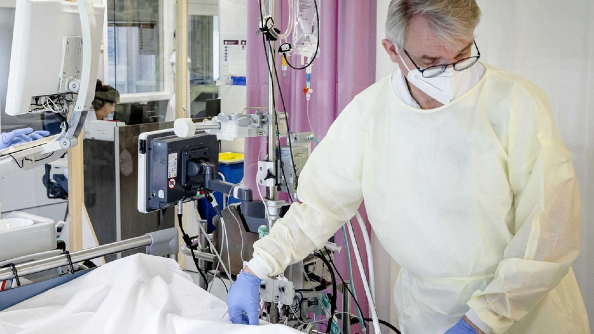 Immagine di Alleviano il dolore, contrastano la depressione: cure palliative, la soluzione