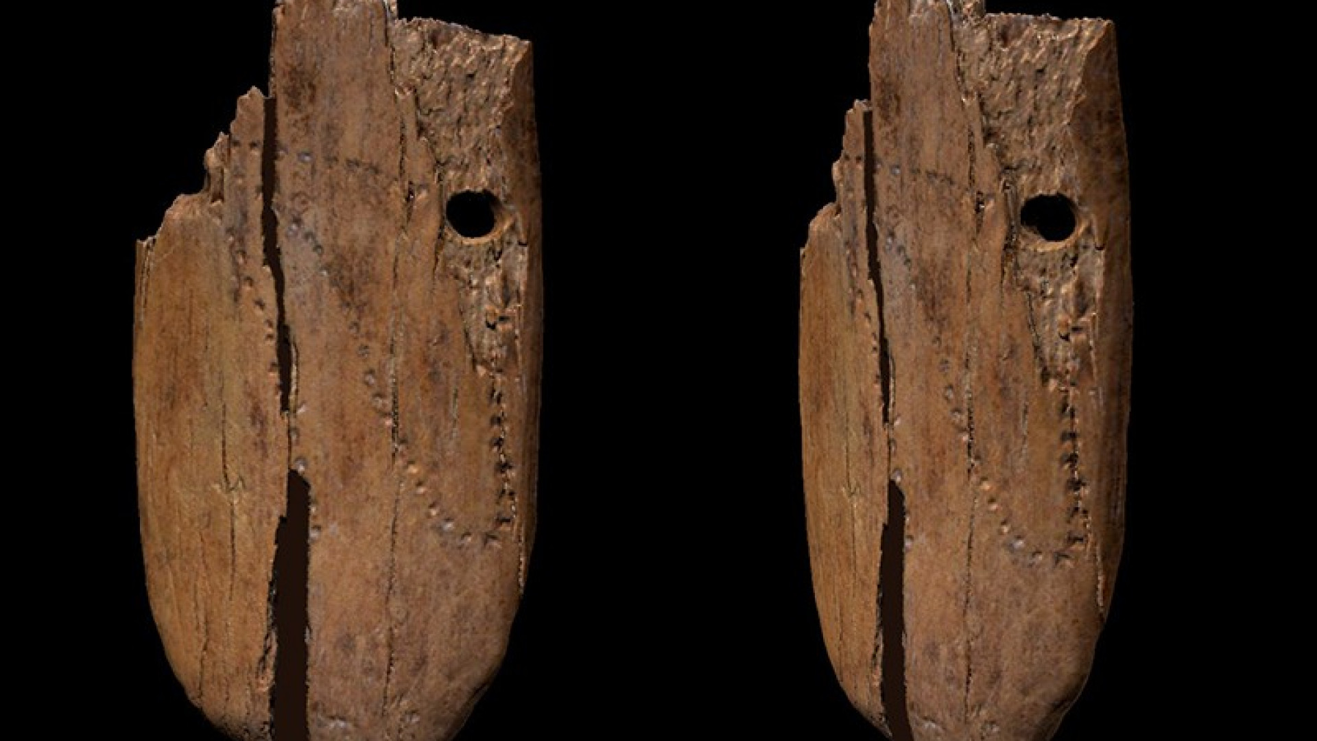 Immagine di Ai tempi di Neanderthal e mammut: i primi orecchini hanno 42mila anni