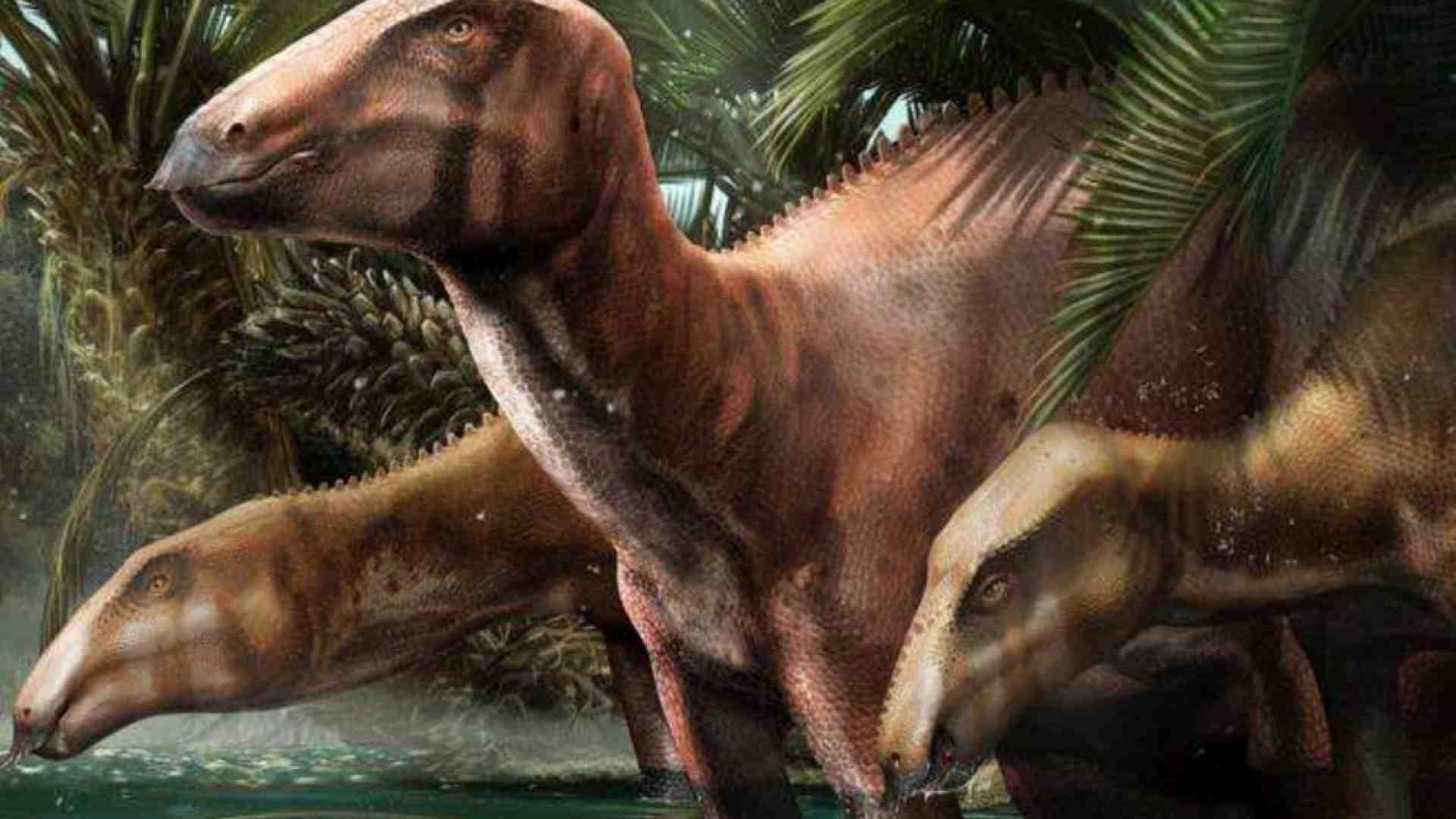 Immagine di Dinosauri, scoperto il primo branco in Italia