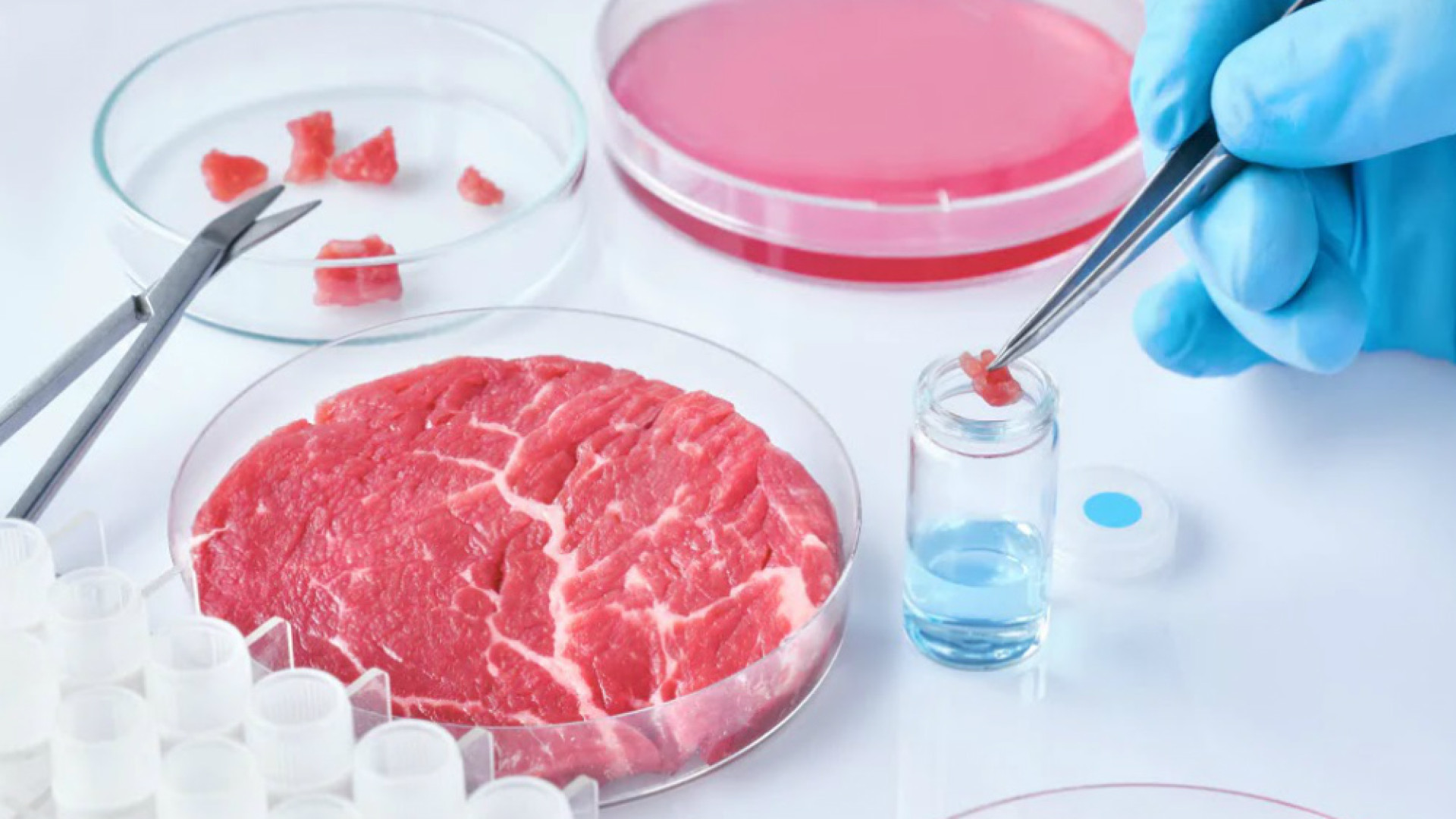 Immagine di Bistecca Frankenstein? No, grazie!