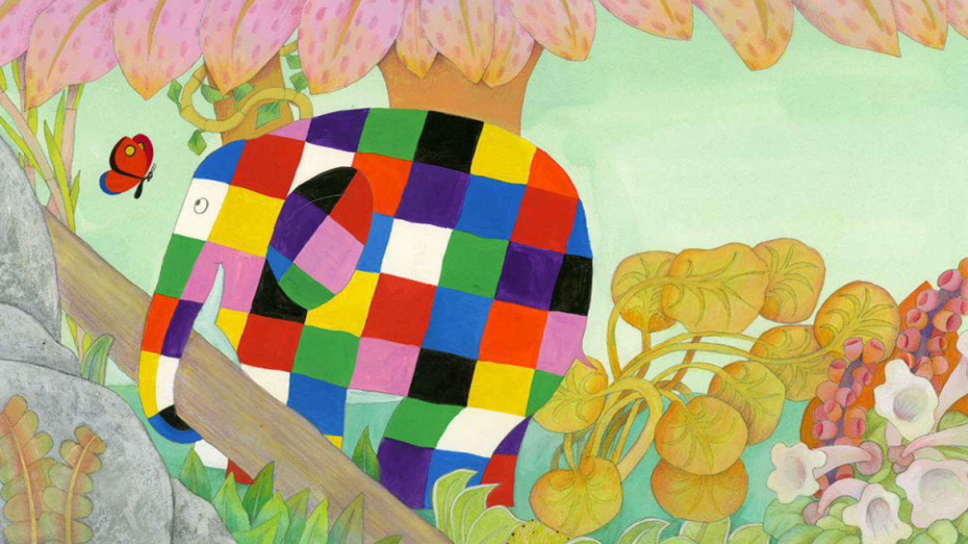 Immagine di Il favoloso mondo di David McKee