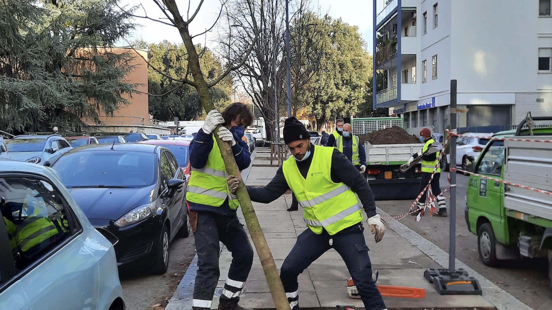 Immagine di Nuovi alberi in via Todeschini
