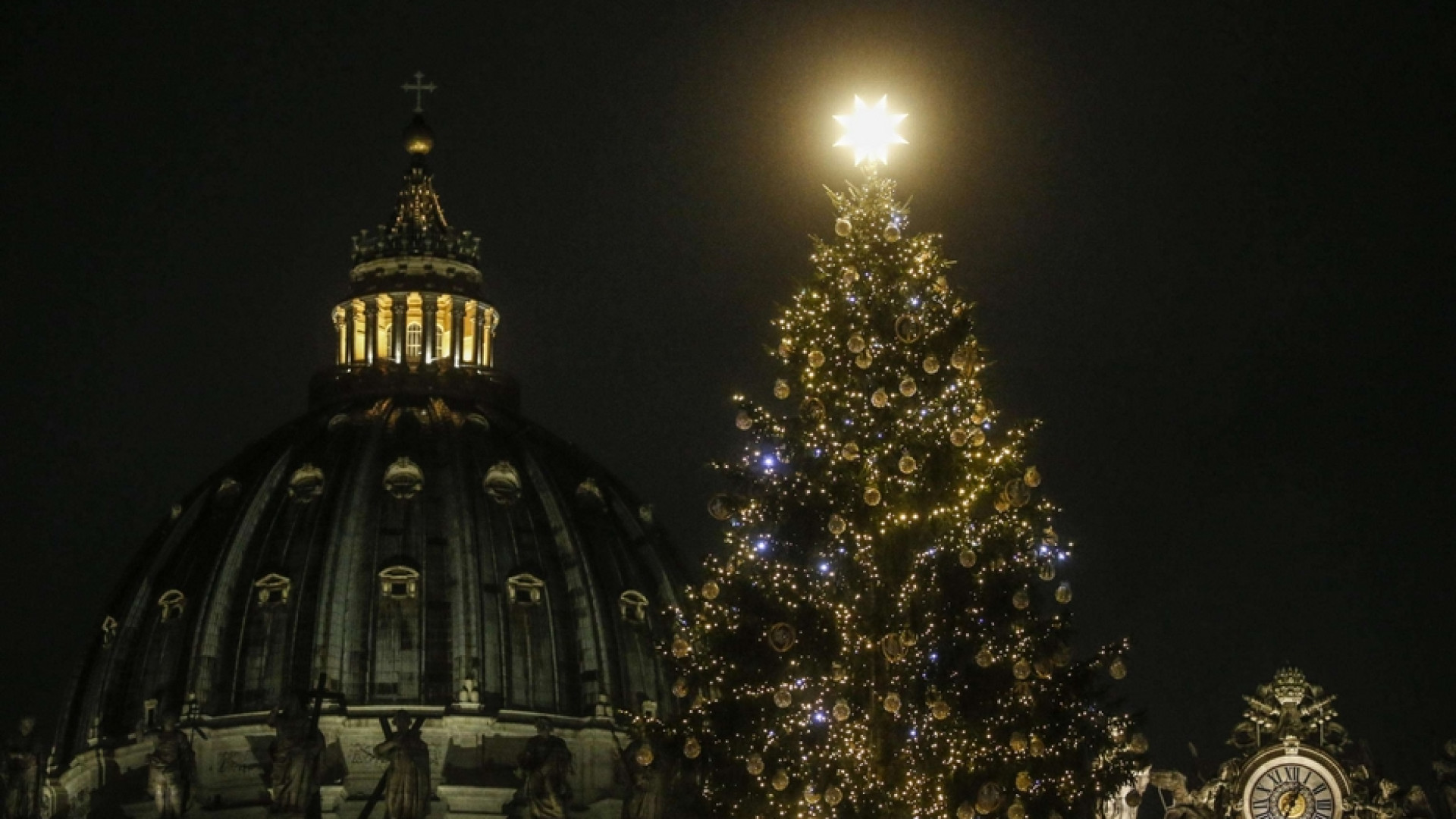 Immagine di Perché l'albero di Natale ha un significato cristiano