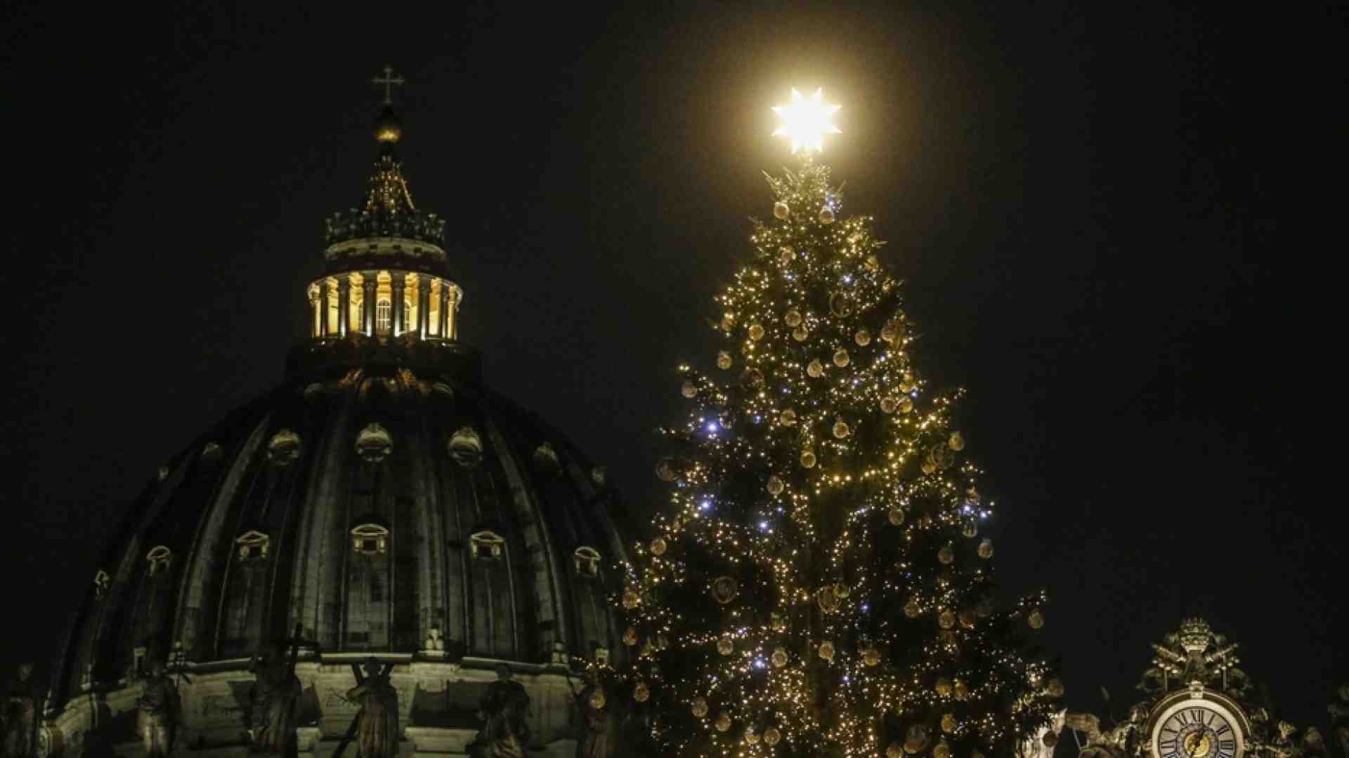 Immagine di Perché l'albero di Natale ha un significato cristiano