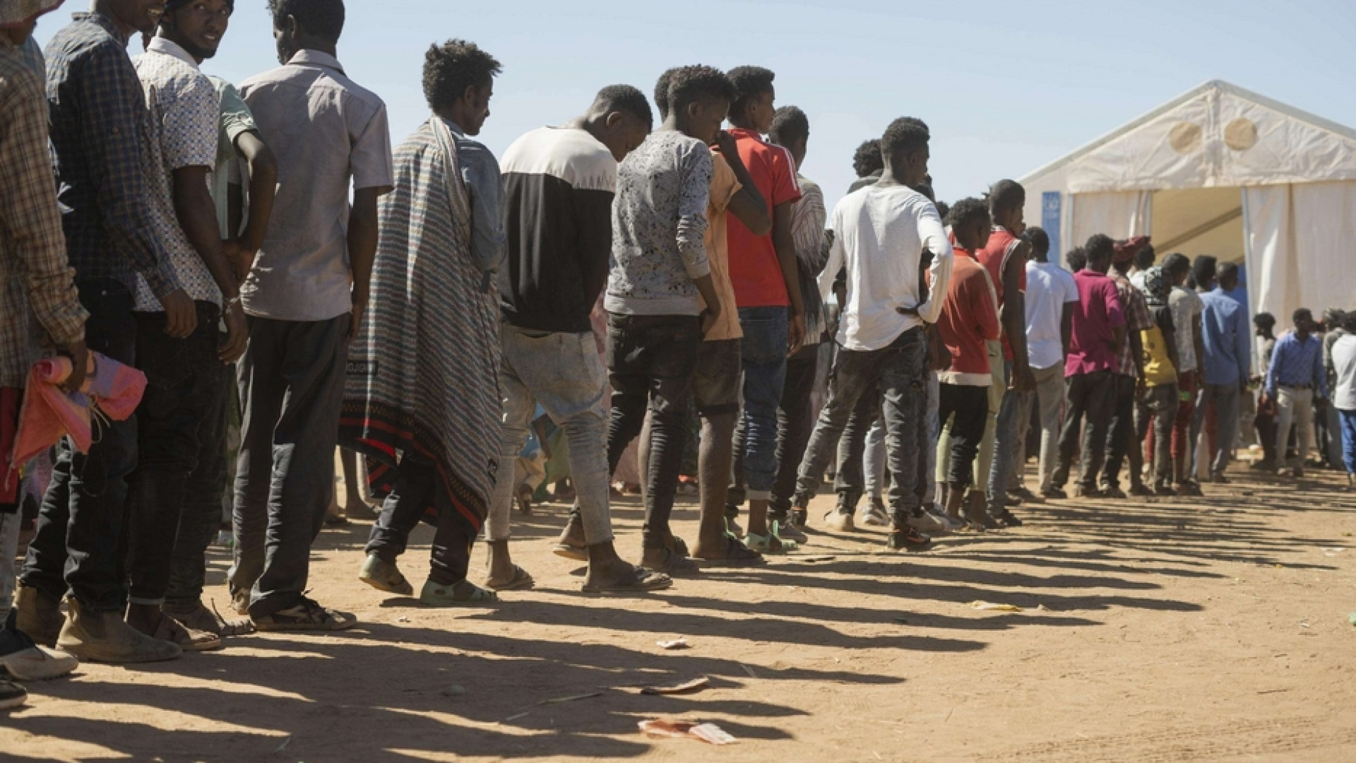 Immagine di Semafori, Tigrai e bisonti: le guerre affamano con le terre bruciate