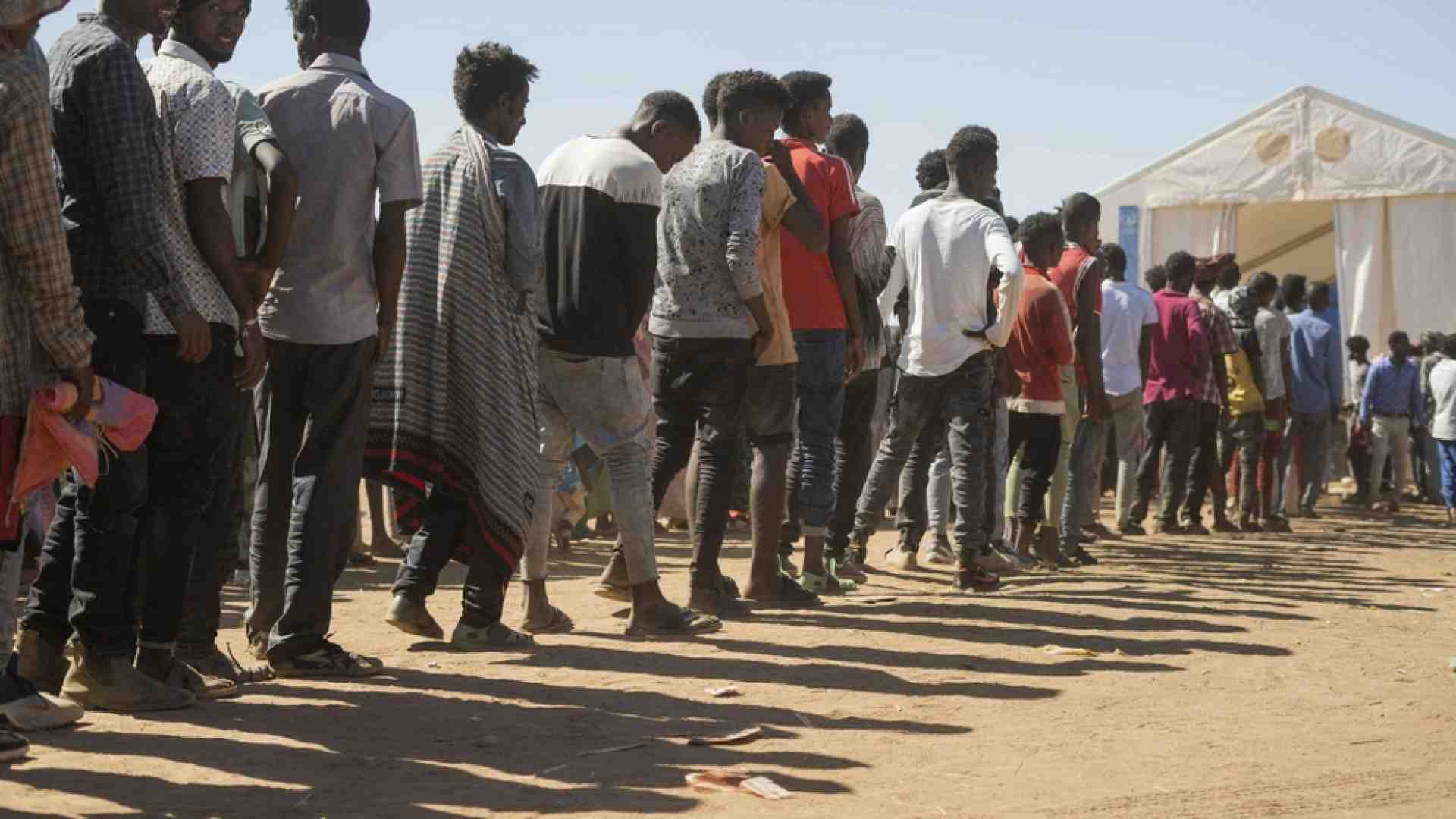 Immagine di Semafori, Tigrai e bisonti: le guerre affamano con le terre bruciate