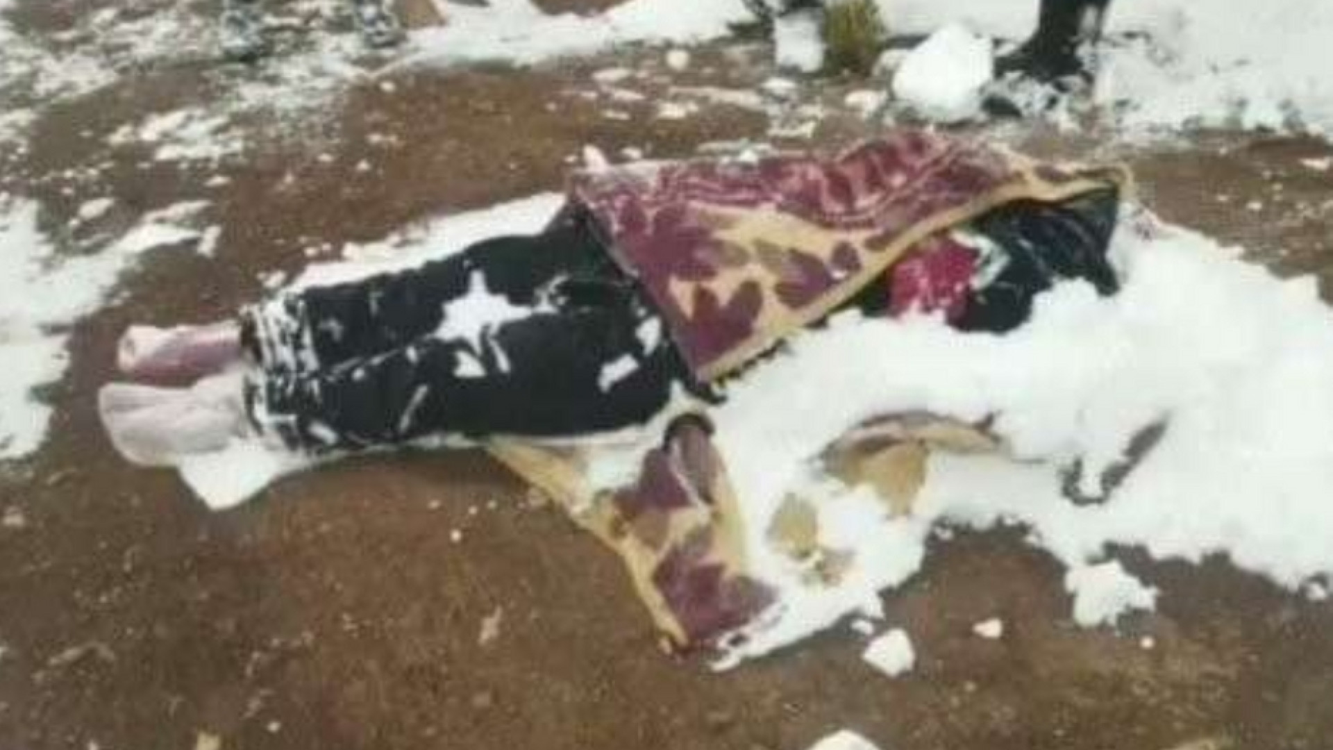 Immagine di Senza calze per scaldare i figli, migrante afghana assiderata tra Turchia e Iran