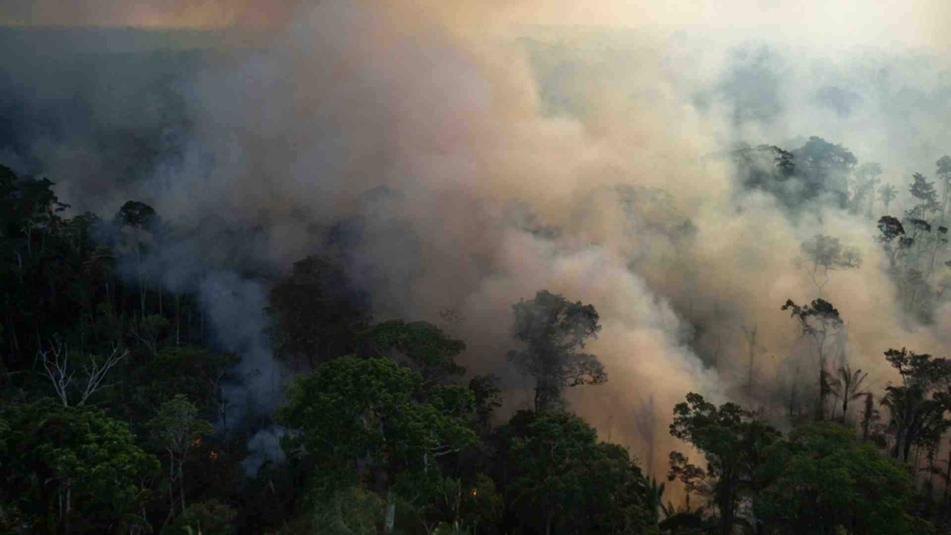 Immagine di Difendevano l'Amazzonia: sterminati padre, madre e figlia