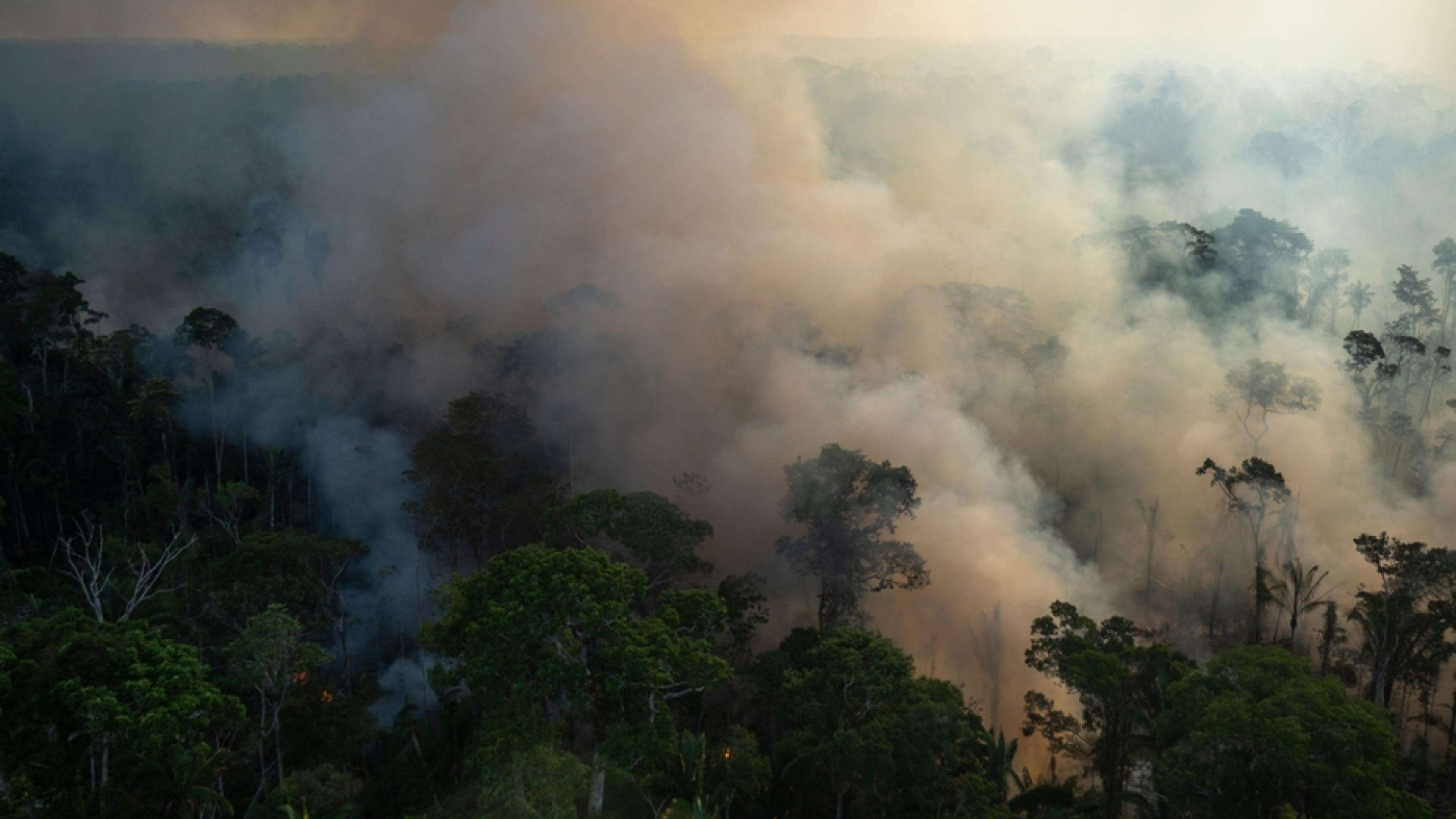 Immagine di Difendevano l'Amazzonia: sterminati padre, madre e figlia