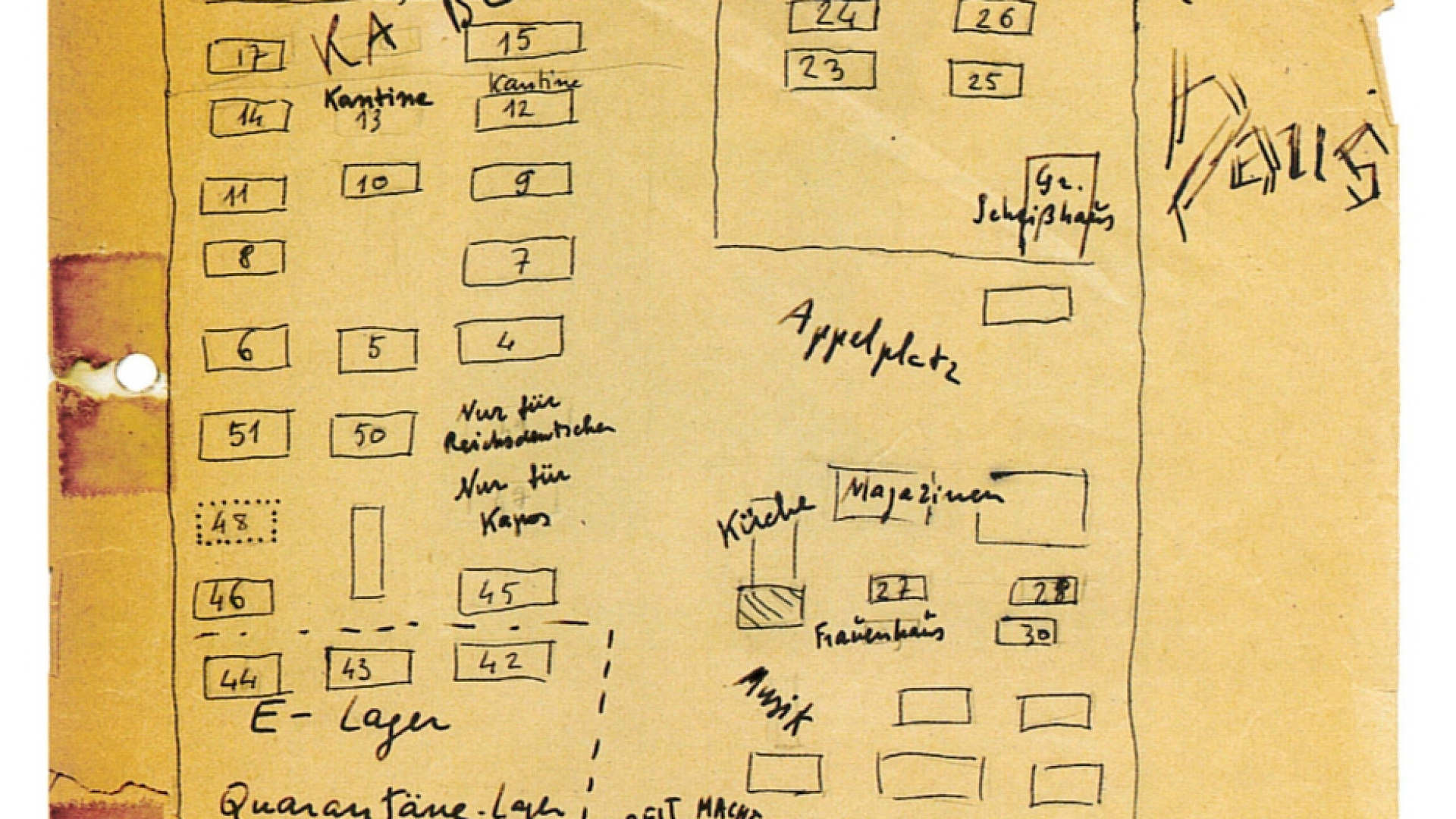 Immagine di Il dilemma di Primo Levi fra ordine e caos
