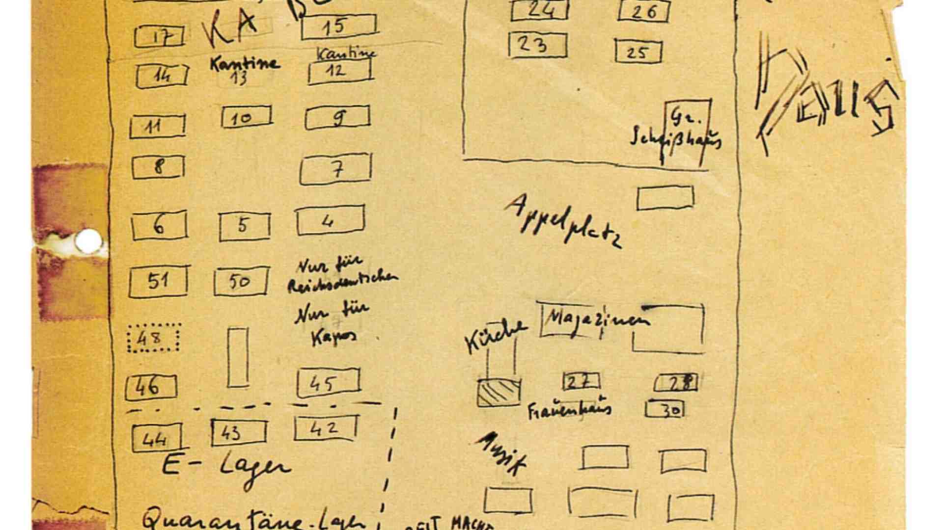 Immagine di Il dilemma di Primo Levi fra ordine e caos