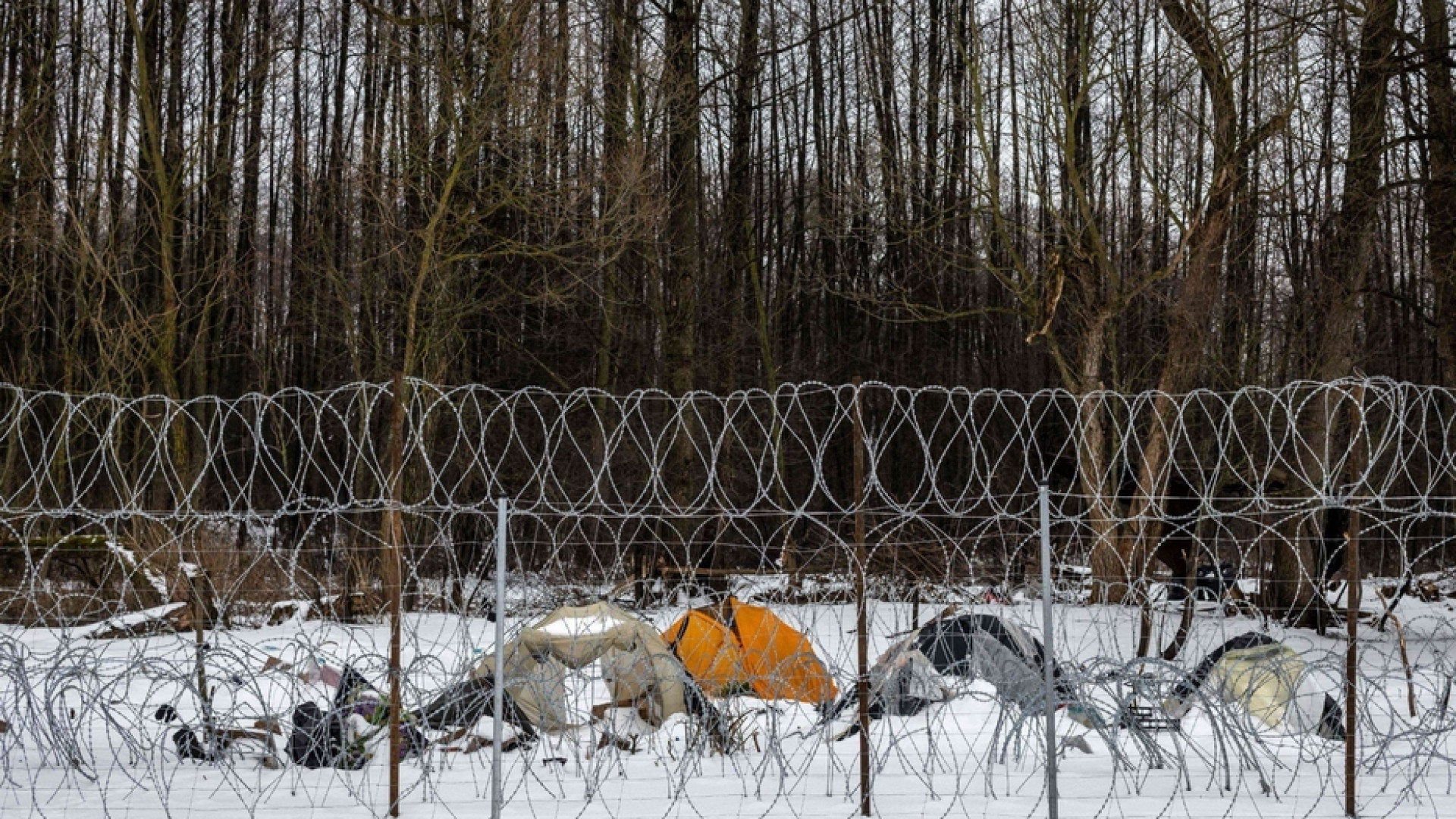 Immagine di La Polonia avvia la costruzione del muro antiprofughi. L'opposizione: vergogna