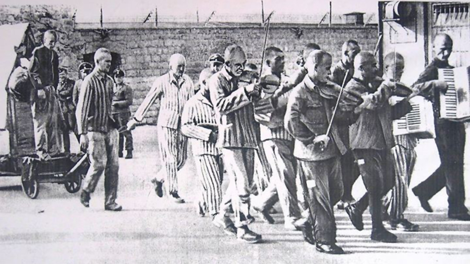 Immagine di La storia di due non ebrei internati nel campo di Mauthausen