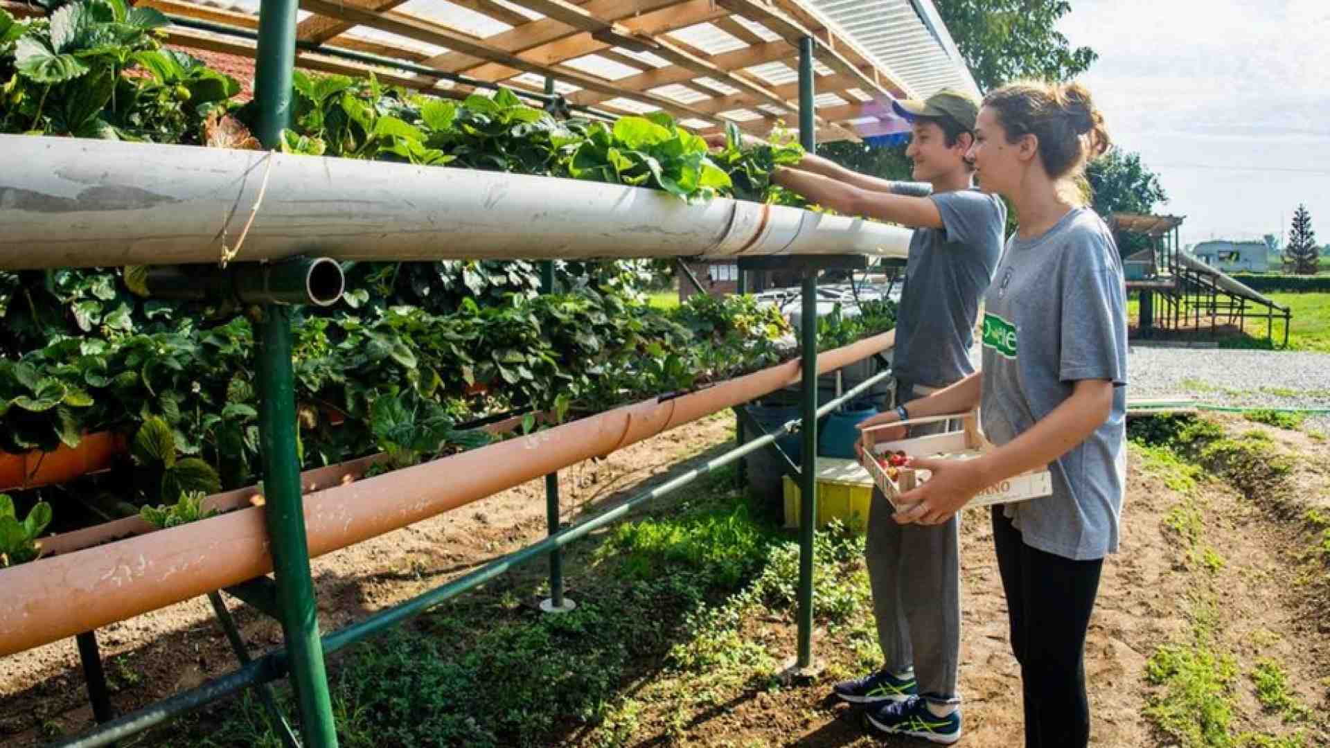 Immagine di Tecnologia scartata in missione con Re.Te.