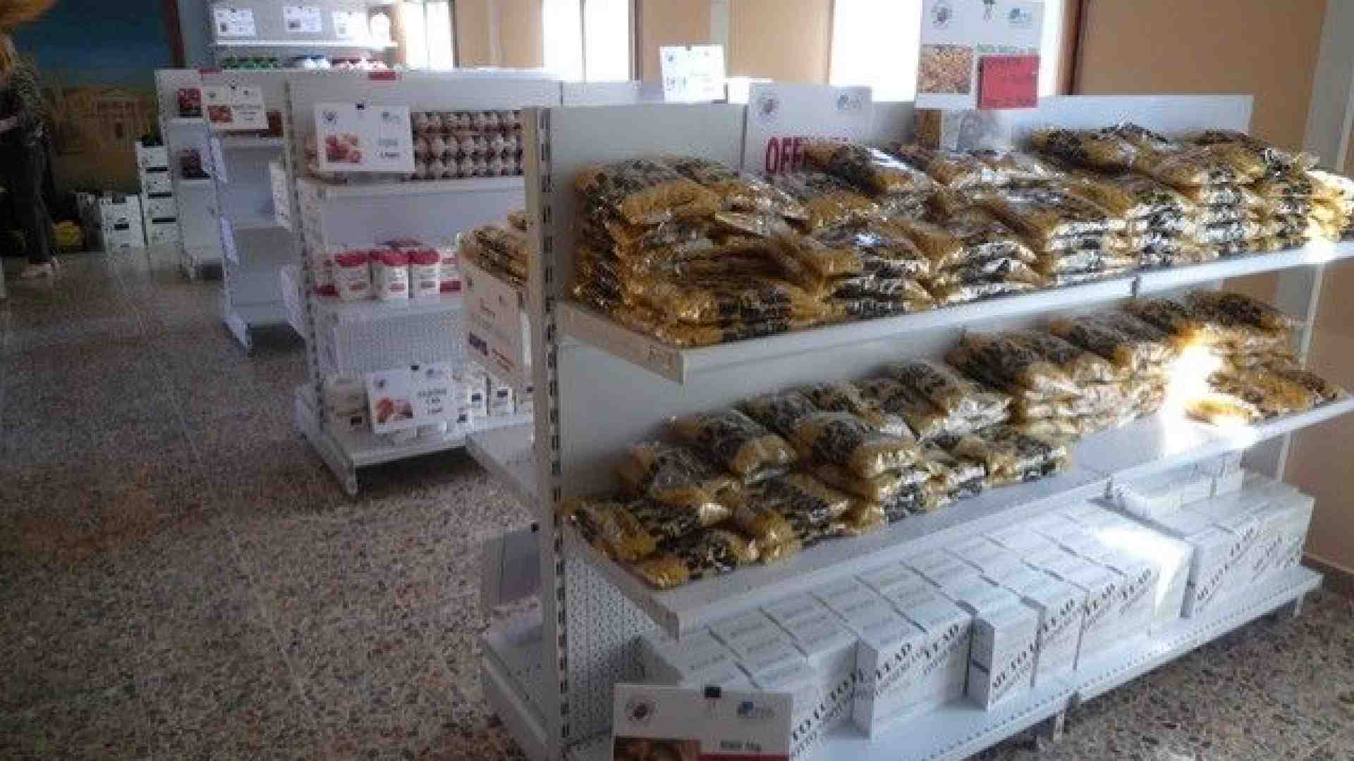 Immagine di La trincea sul lago di Garda per arginare nuove povertà